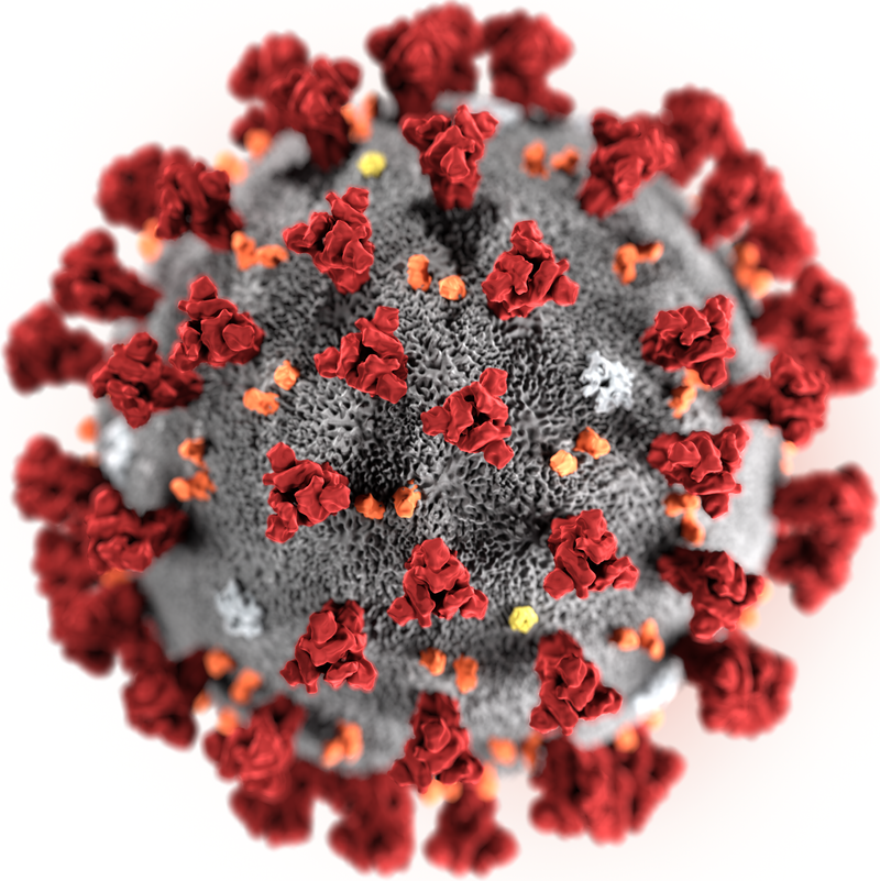 virus.png