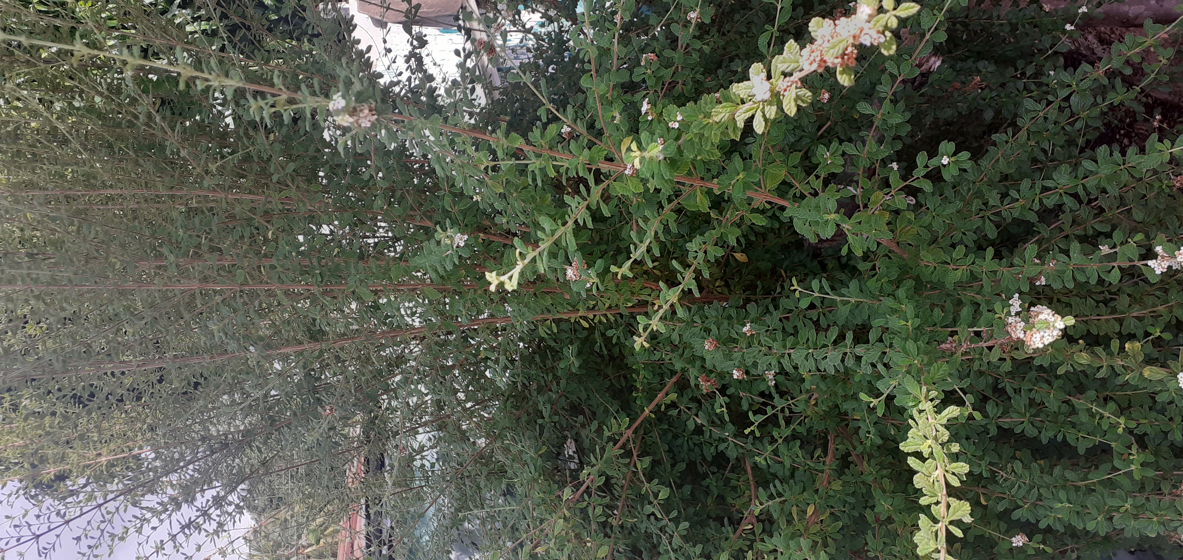 20211016_150726.jpg