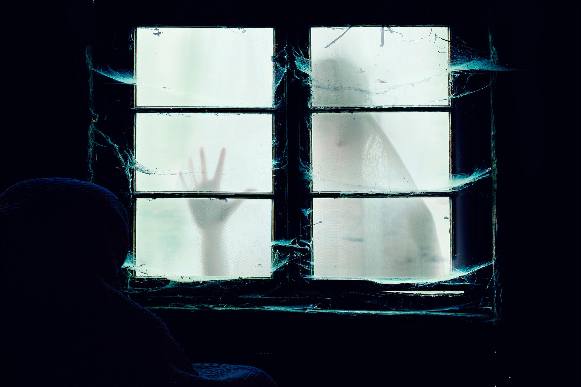 elg21-window-5654339_1920.jpg