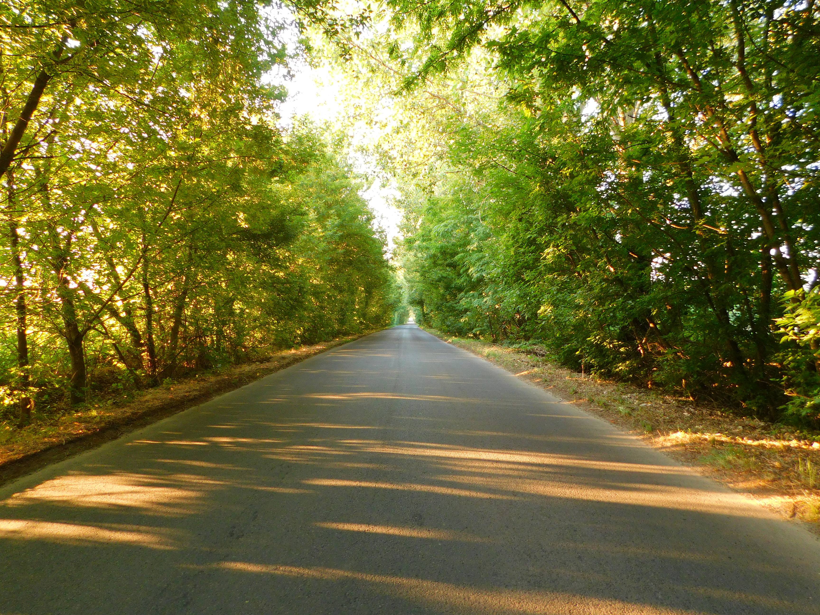 DSCN2635-1.JPG