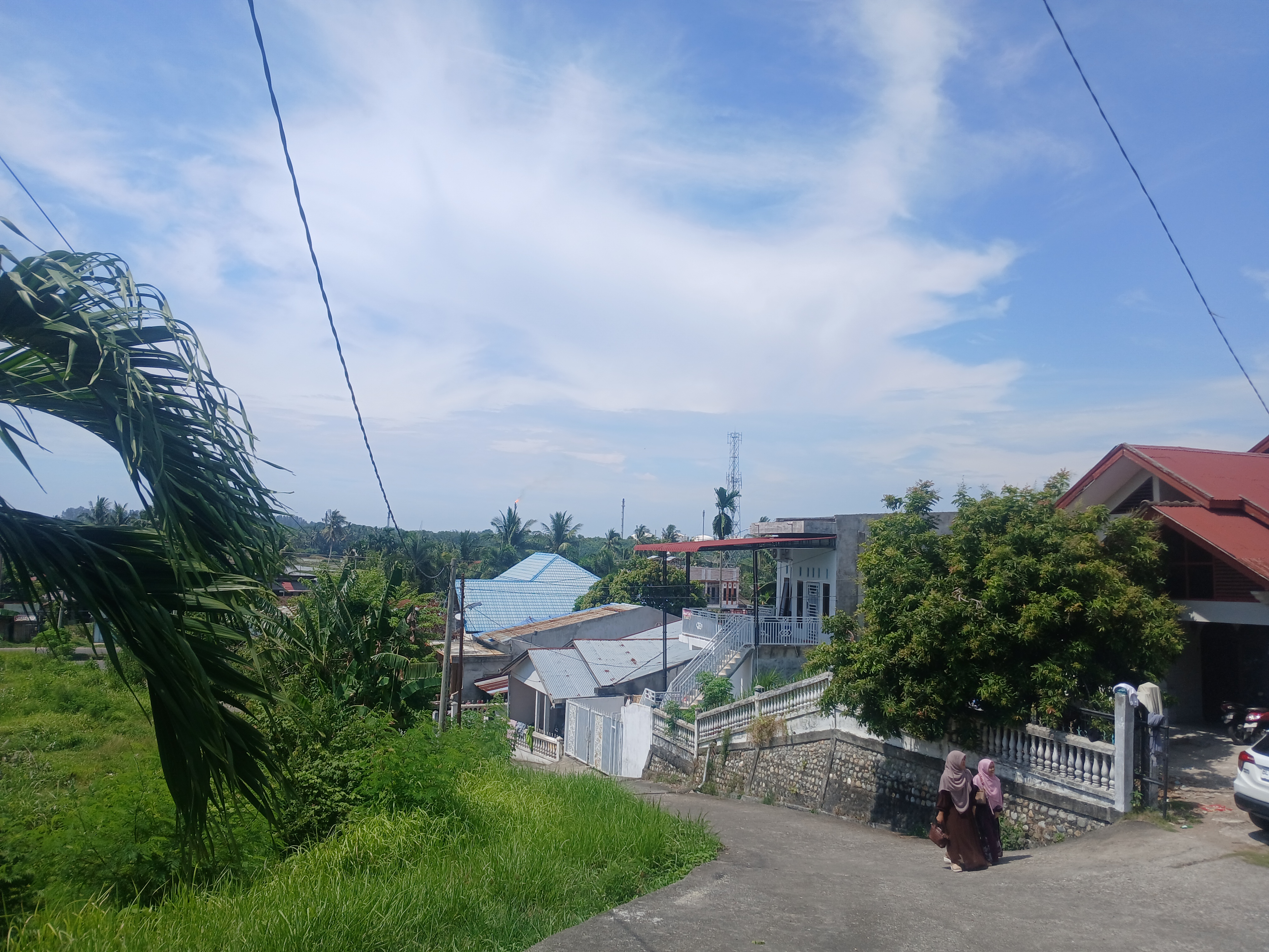 1000476833.jpg