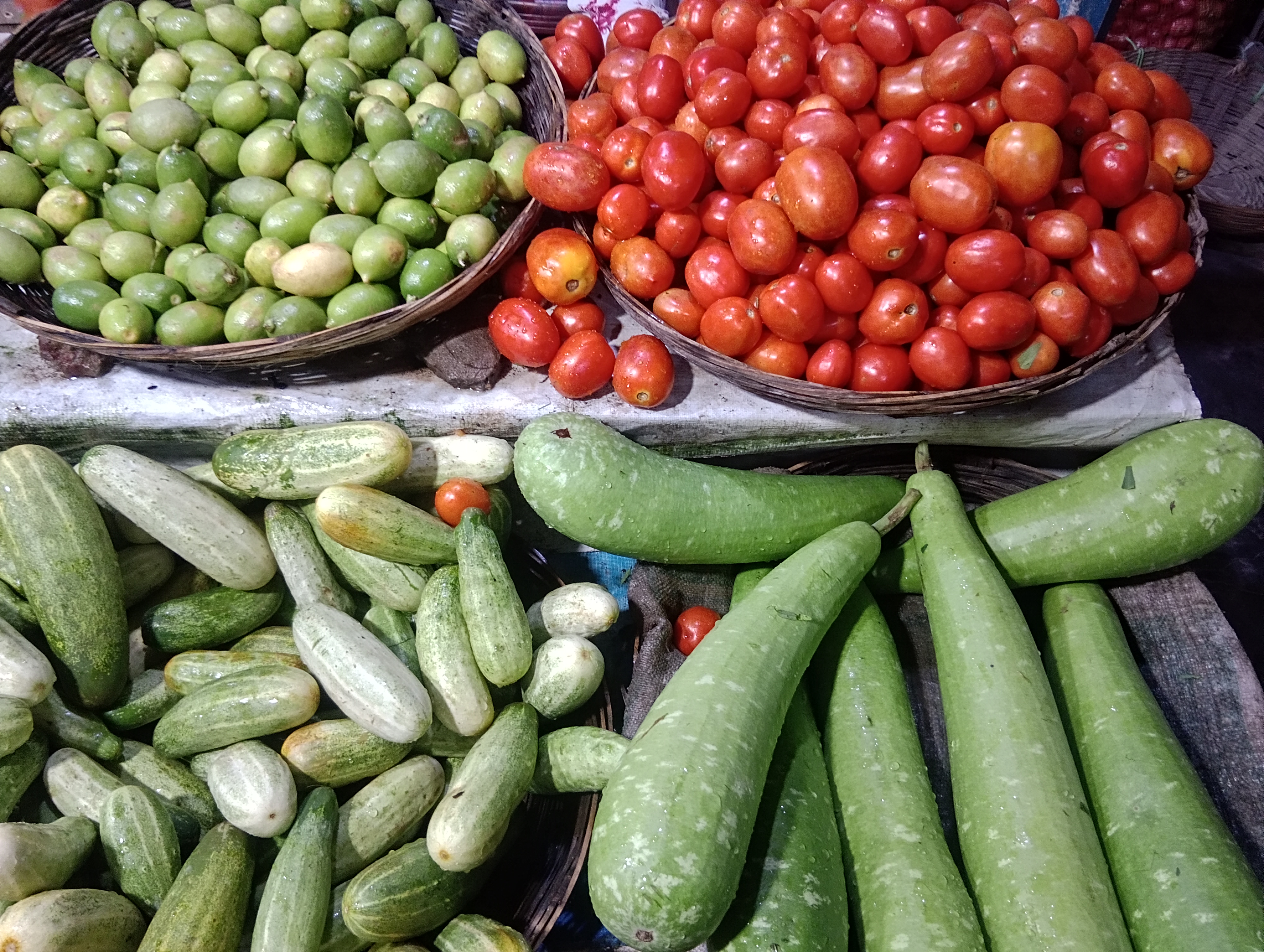 1000081267.jpg