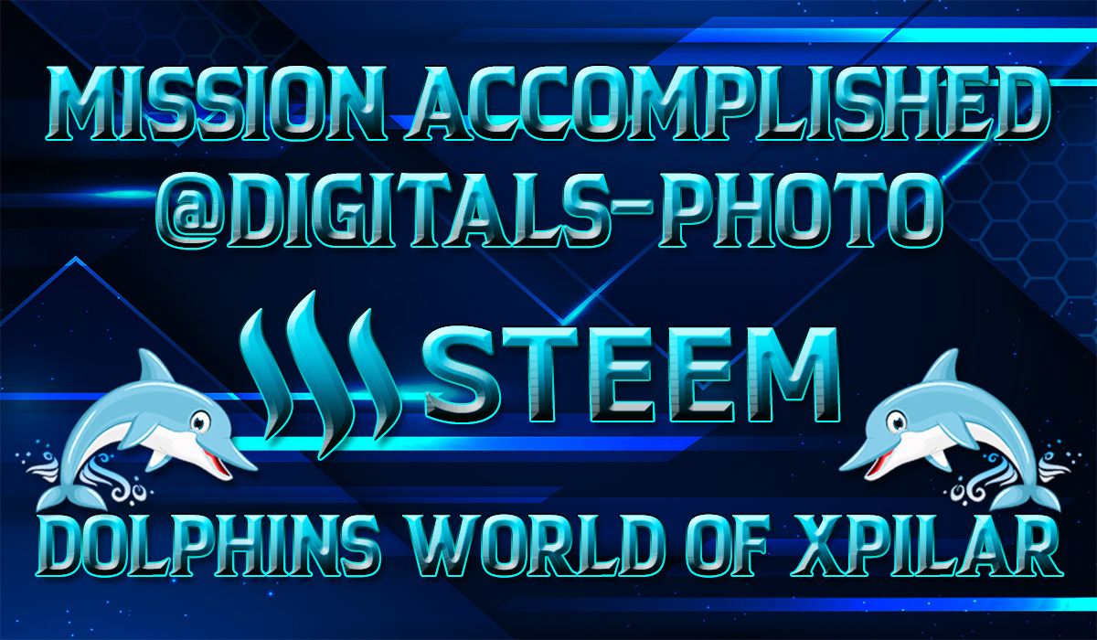 dolpin @digitals-photo.jpg