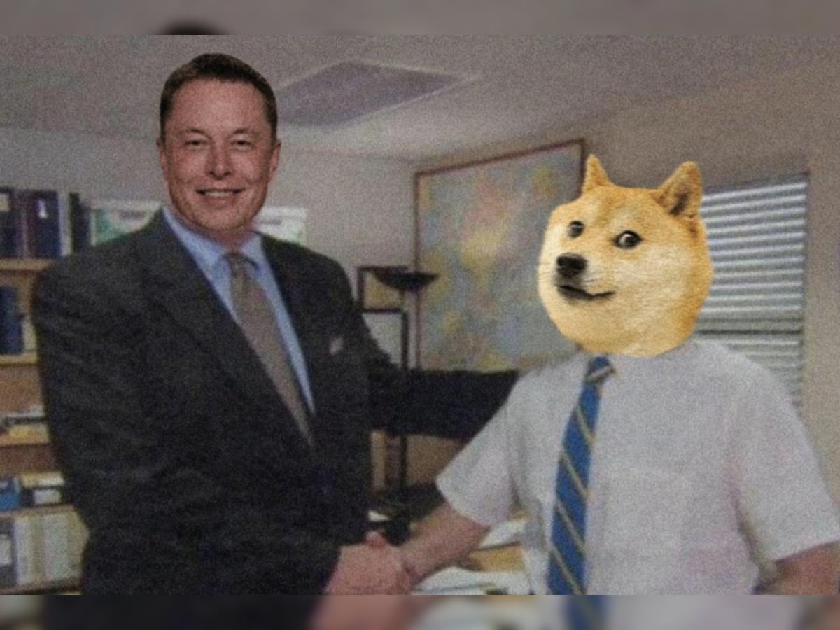 doge.jpg