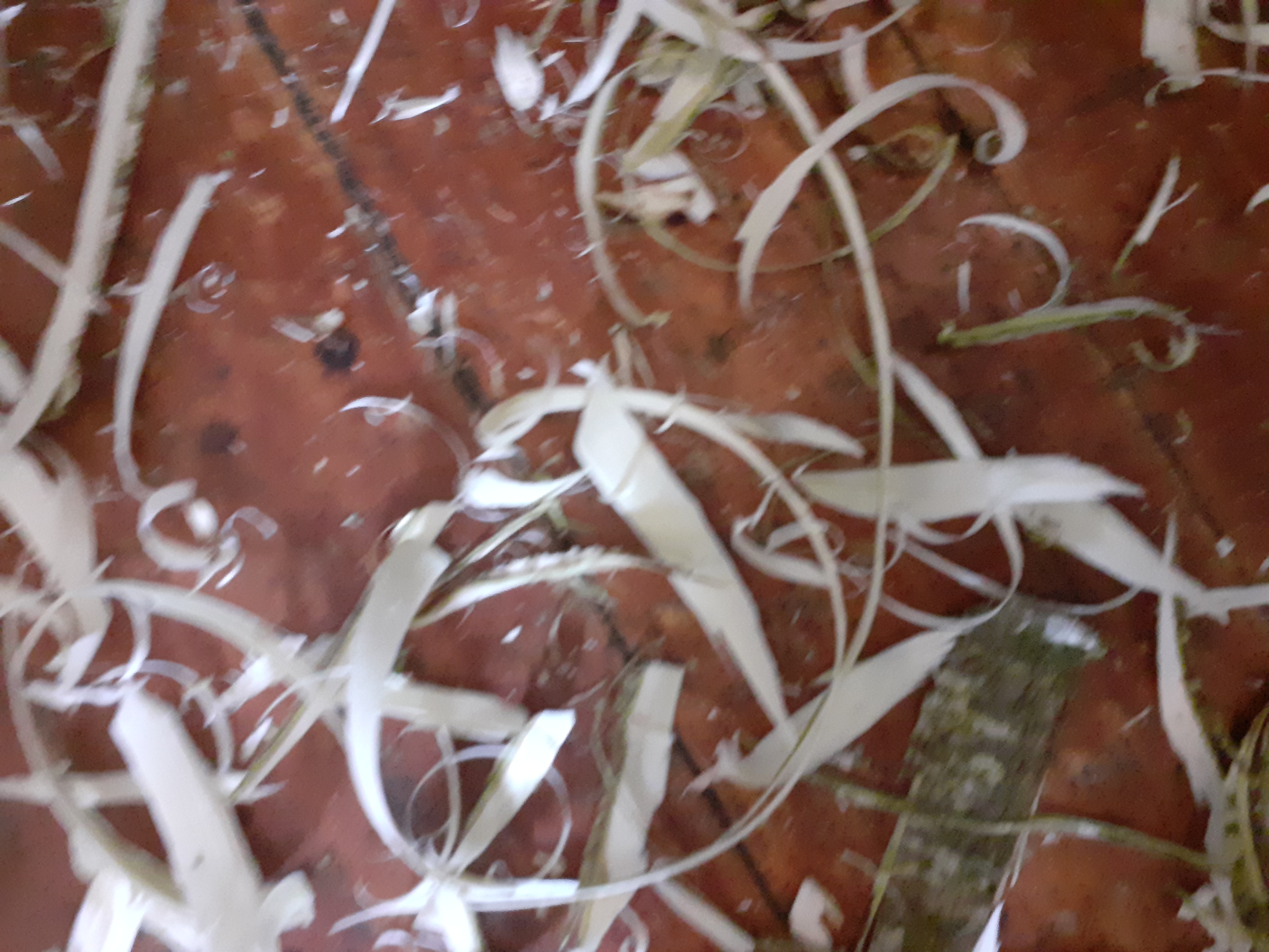 20201028_105759.jpg