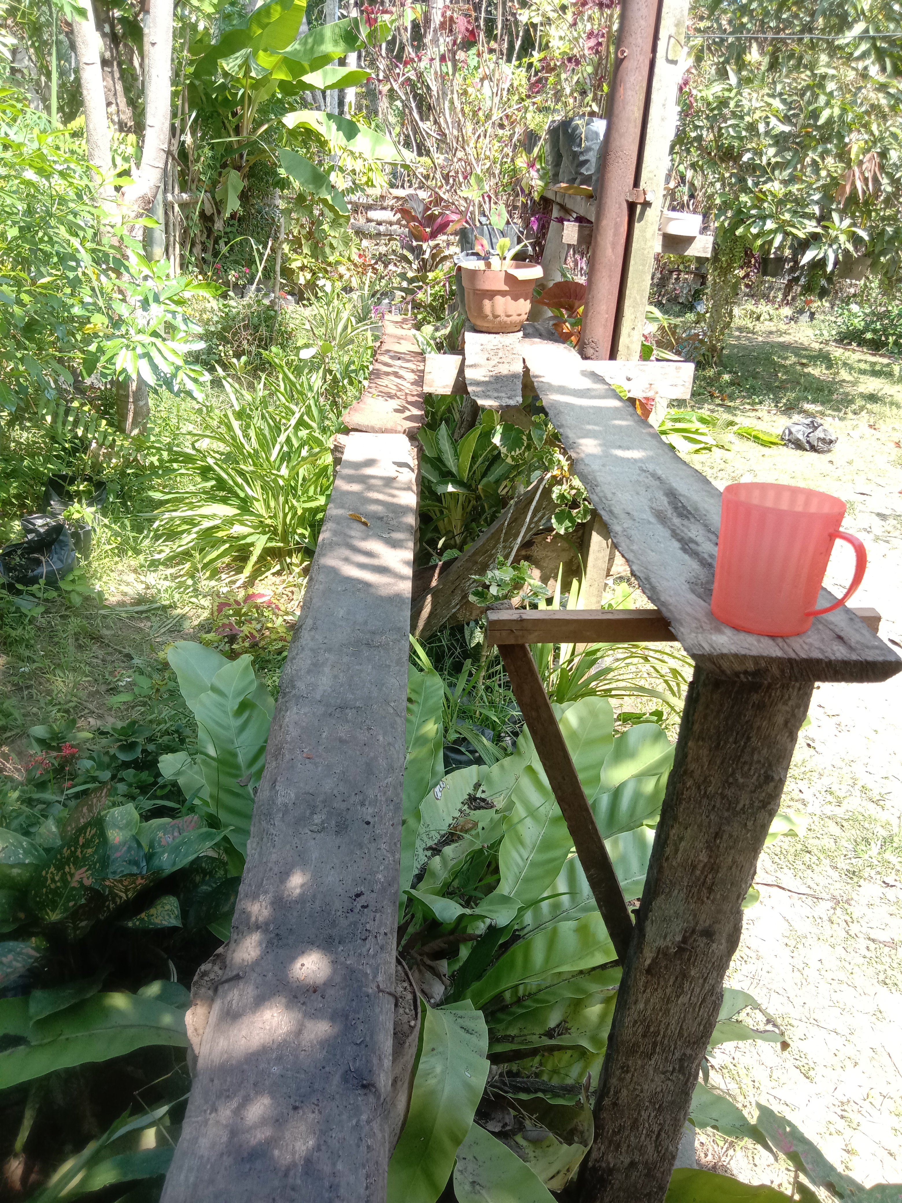 IMG_20220130_122543.jpg
