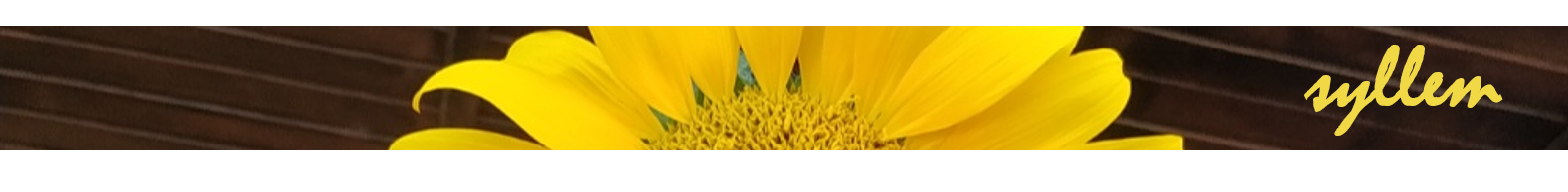 separador (2).png