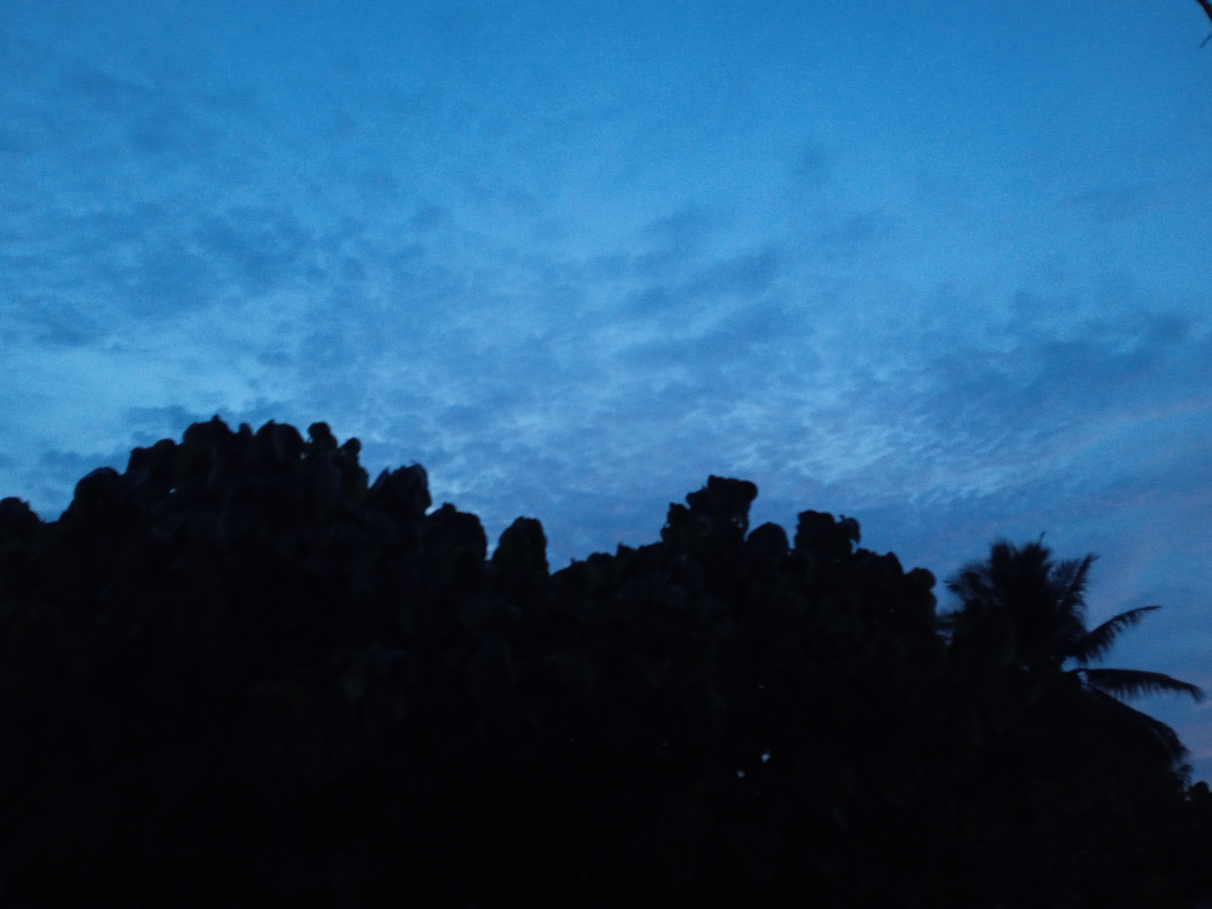 IMG_20260806_192204_1.jpg