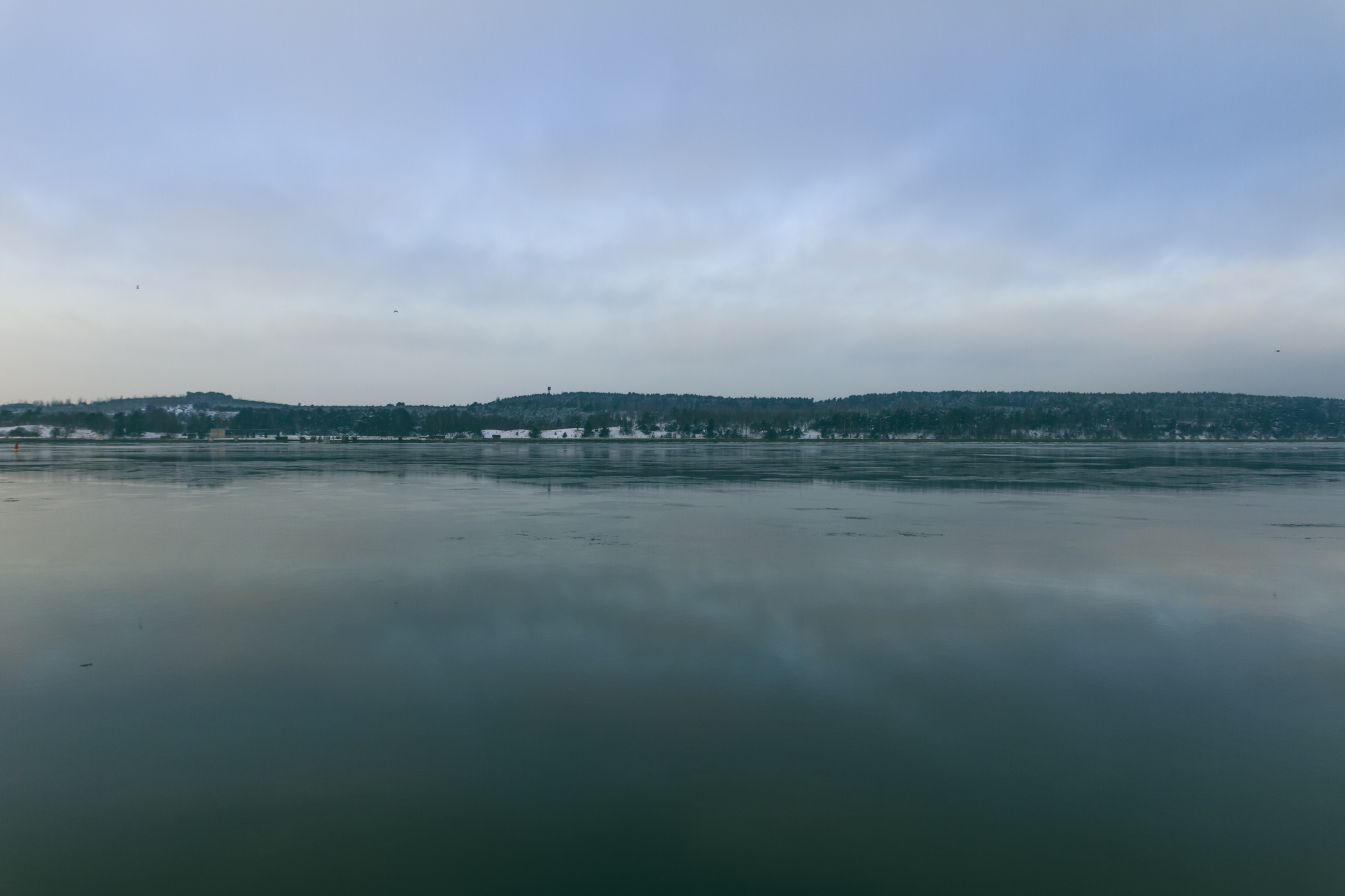 _D009418.jpg