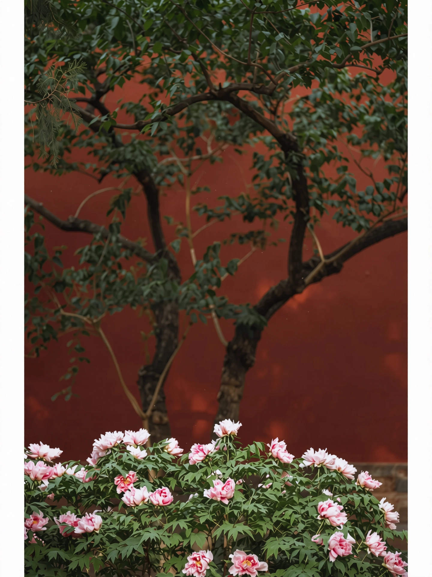 223.webp
