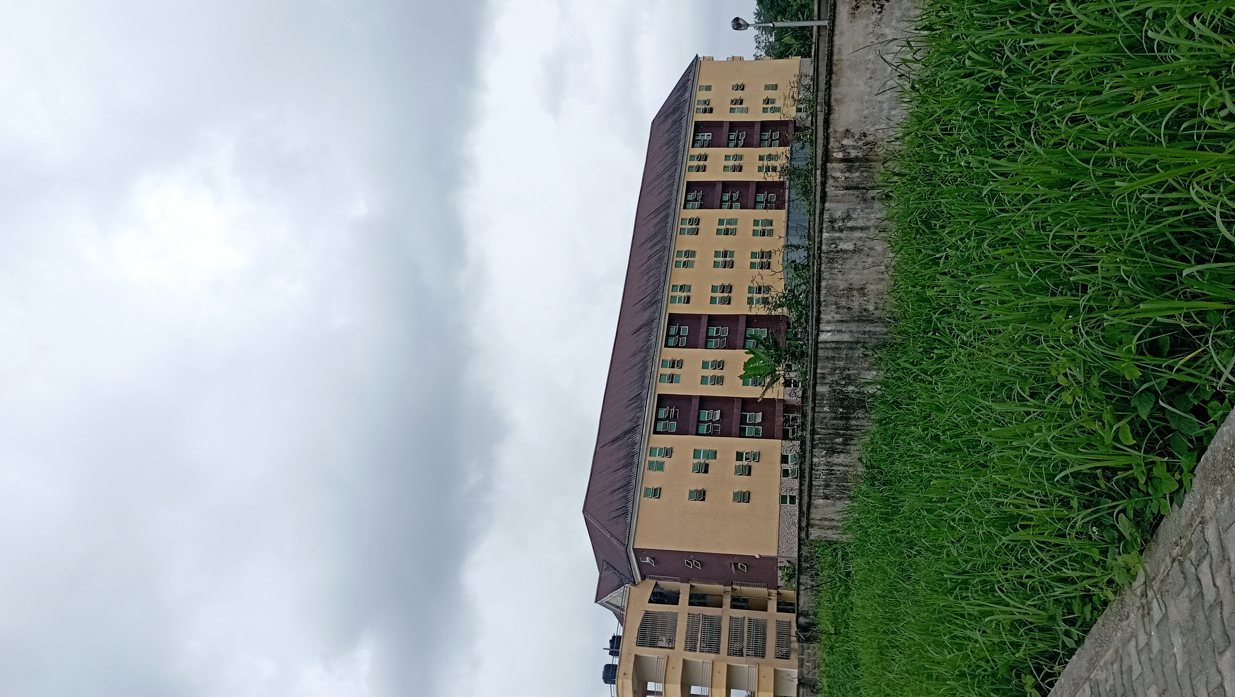 IMG_20220318_154355.jpg
