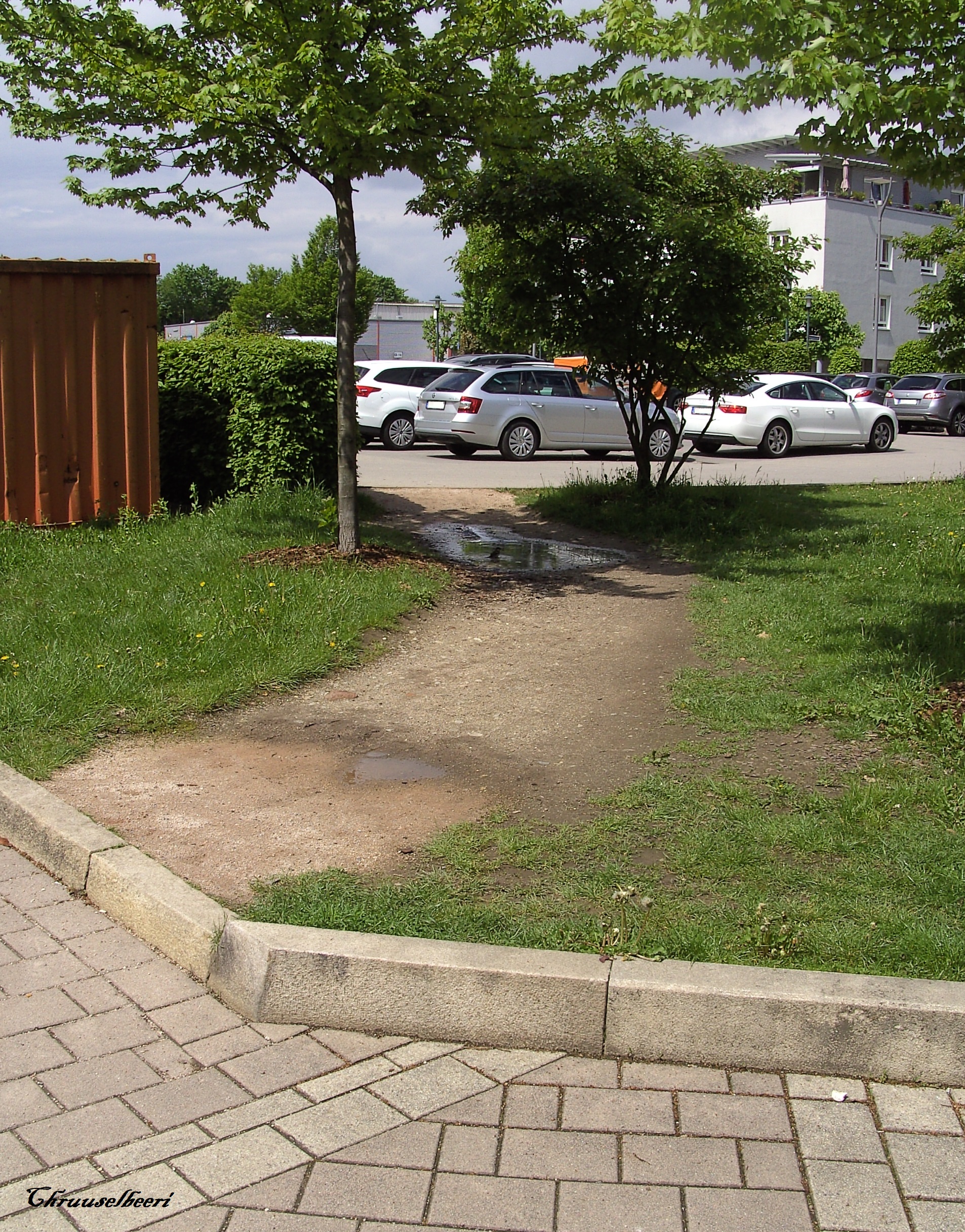 Trampelpfad_09.jpg