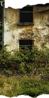 izquierdasinfondo.png