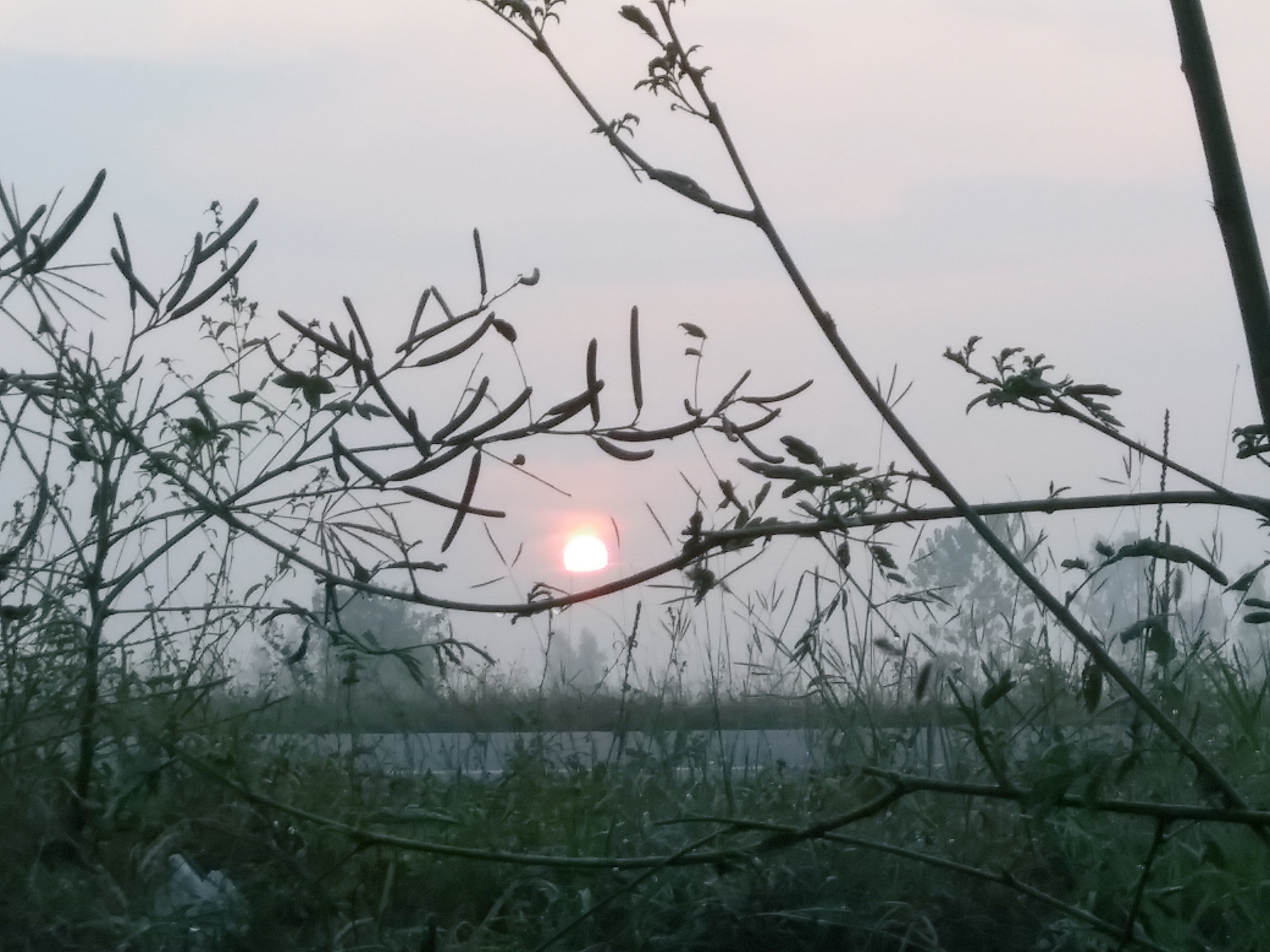 20191215_072442.jpg