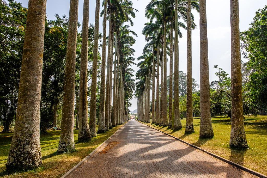 Aburi-Gardens-1.jpg