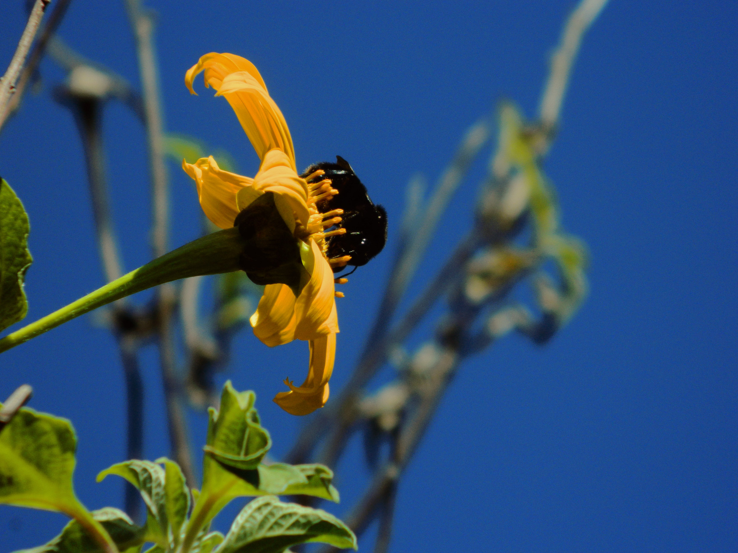 DSCN0387.jpg