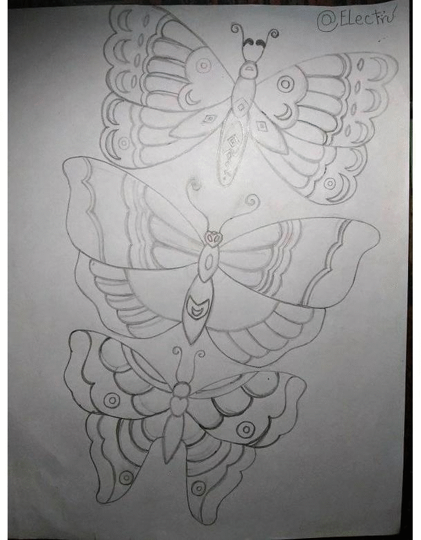 Webp.net-gifmaker (1).gif