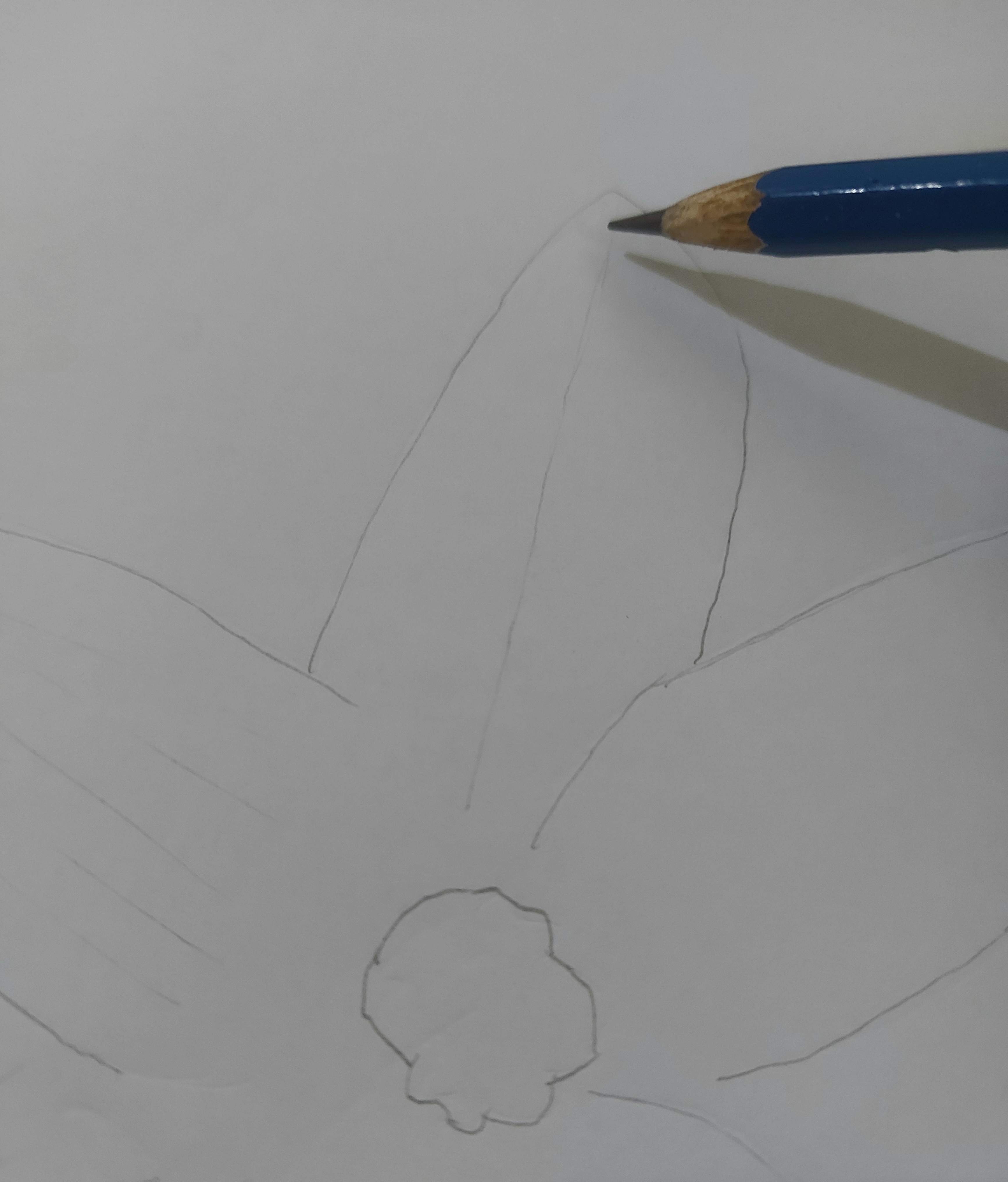 20221122_122241.jpg