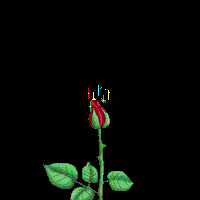 received_1645657882228808.gif