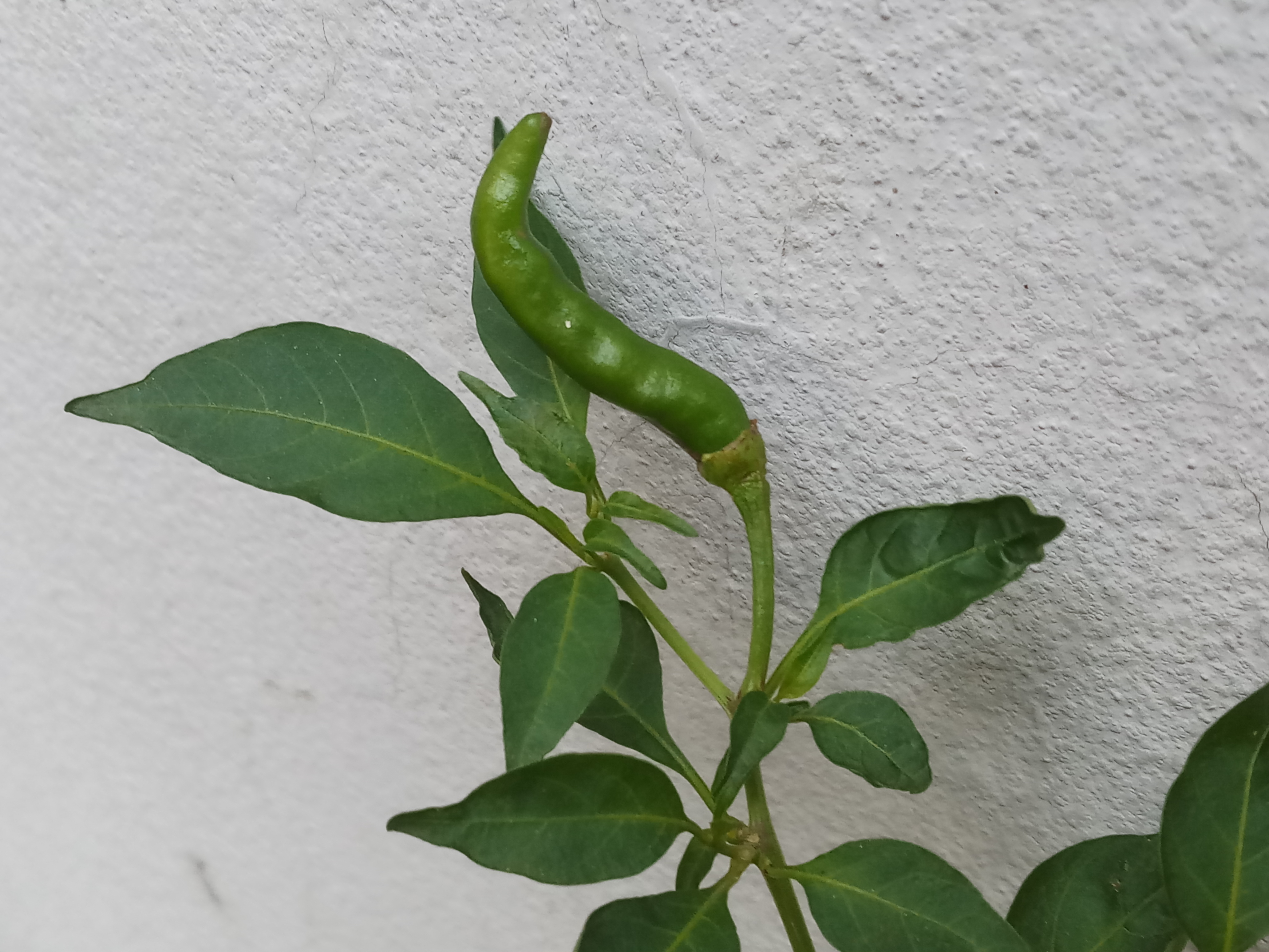 20191004_150111.jpg