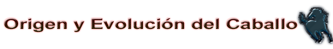 titulo vario