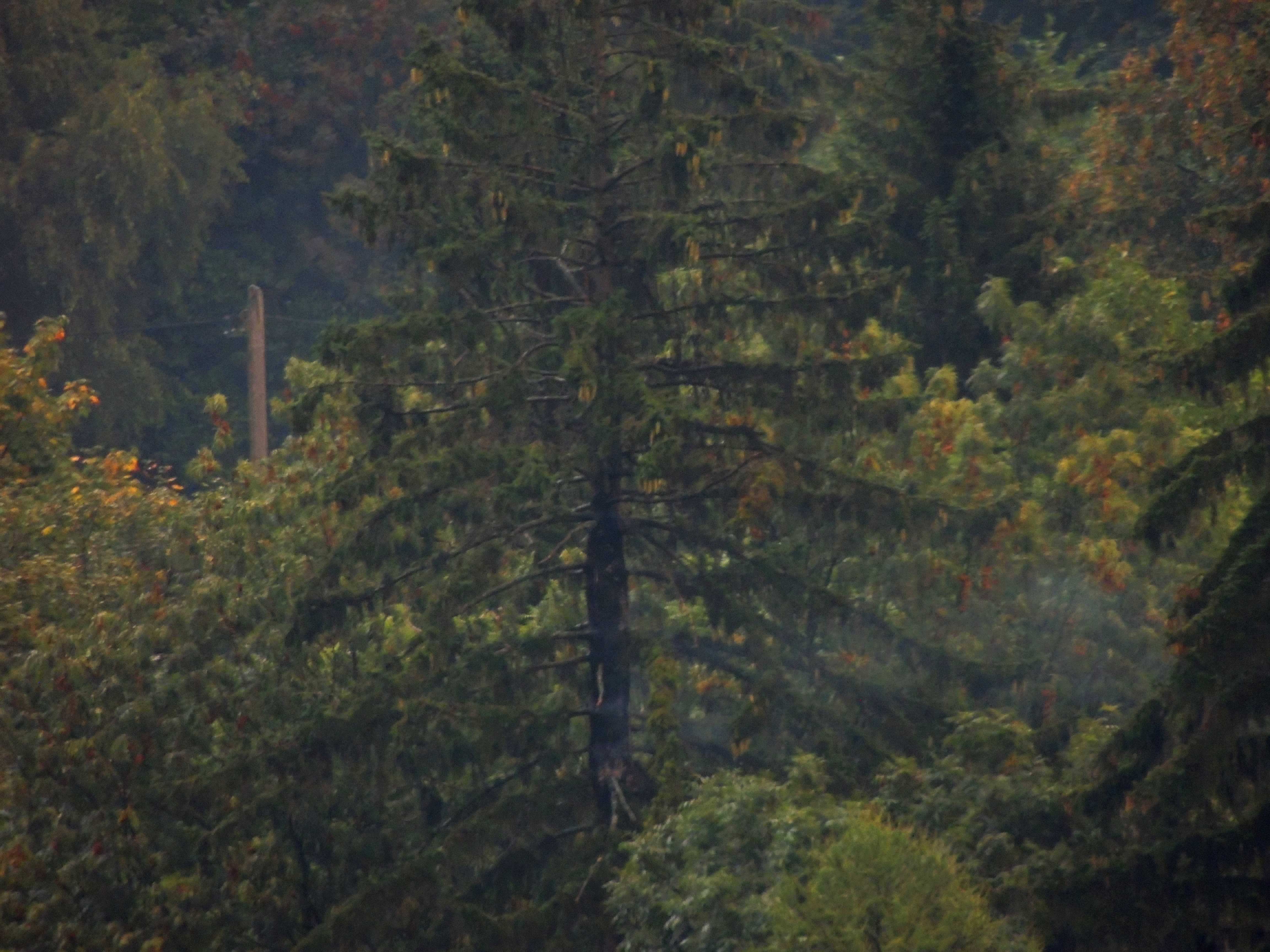 DSCN4405.JPG
