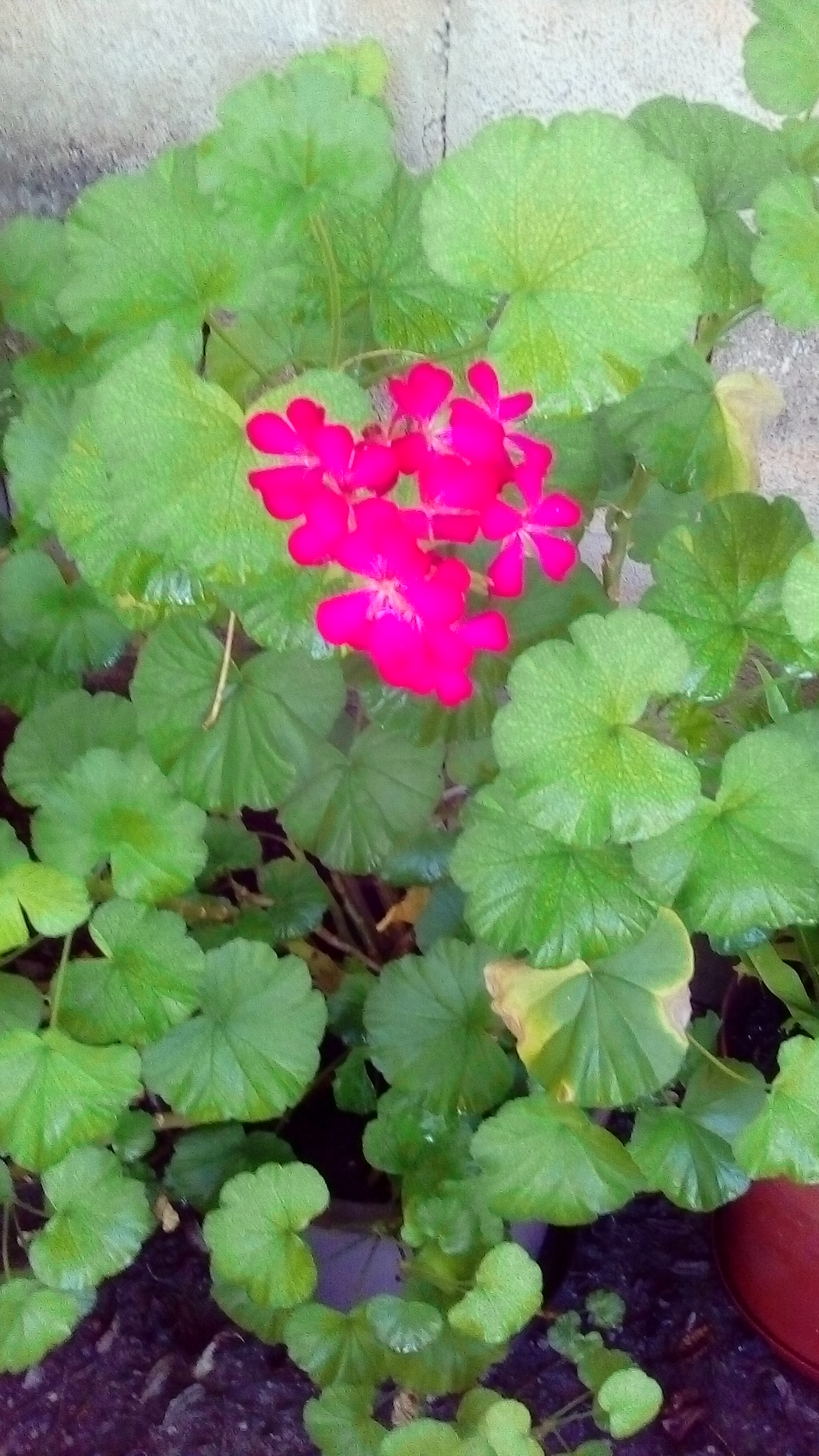 IMG_20200104_095927.jpg