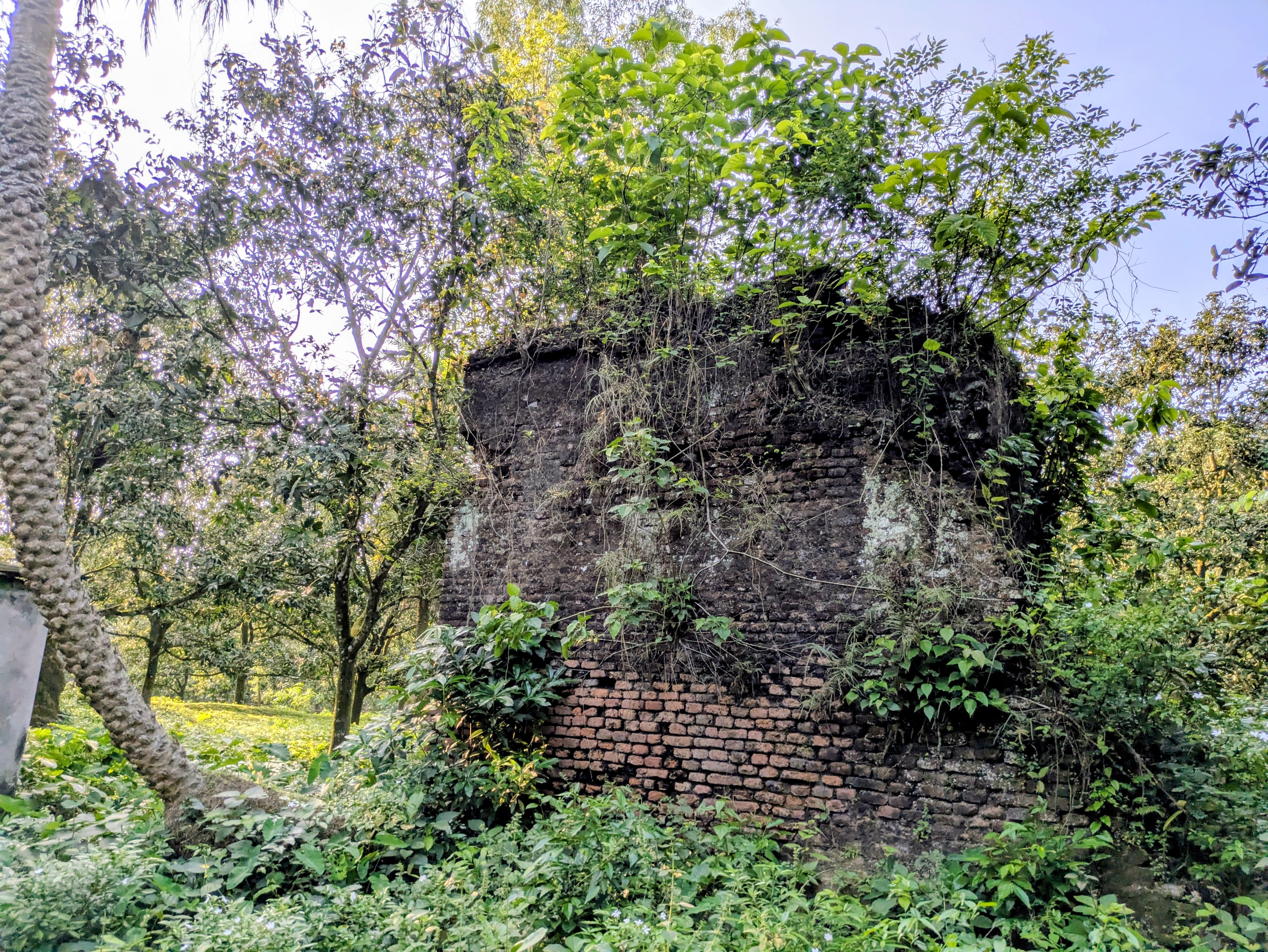 41554.jpg