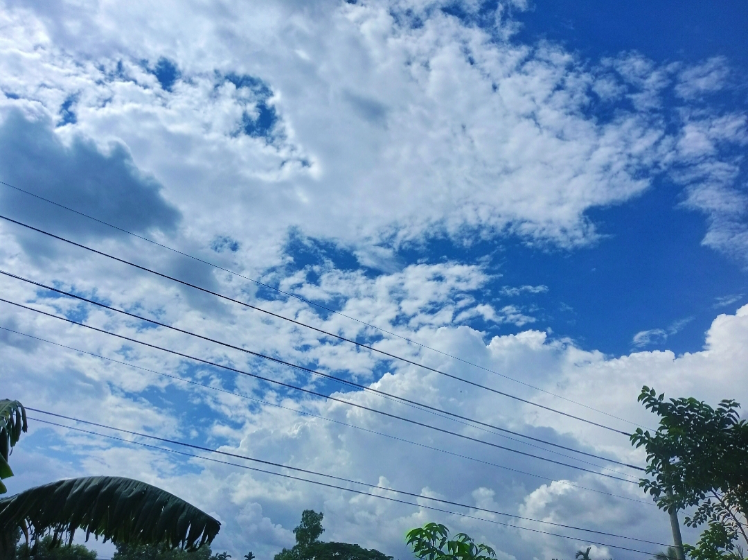 IMG_20250619_122601.jpg
