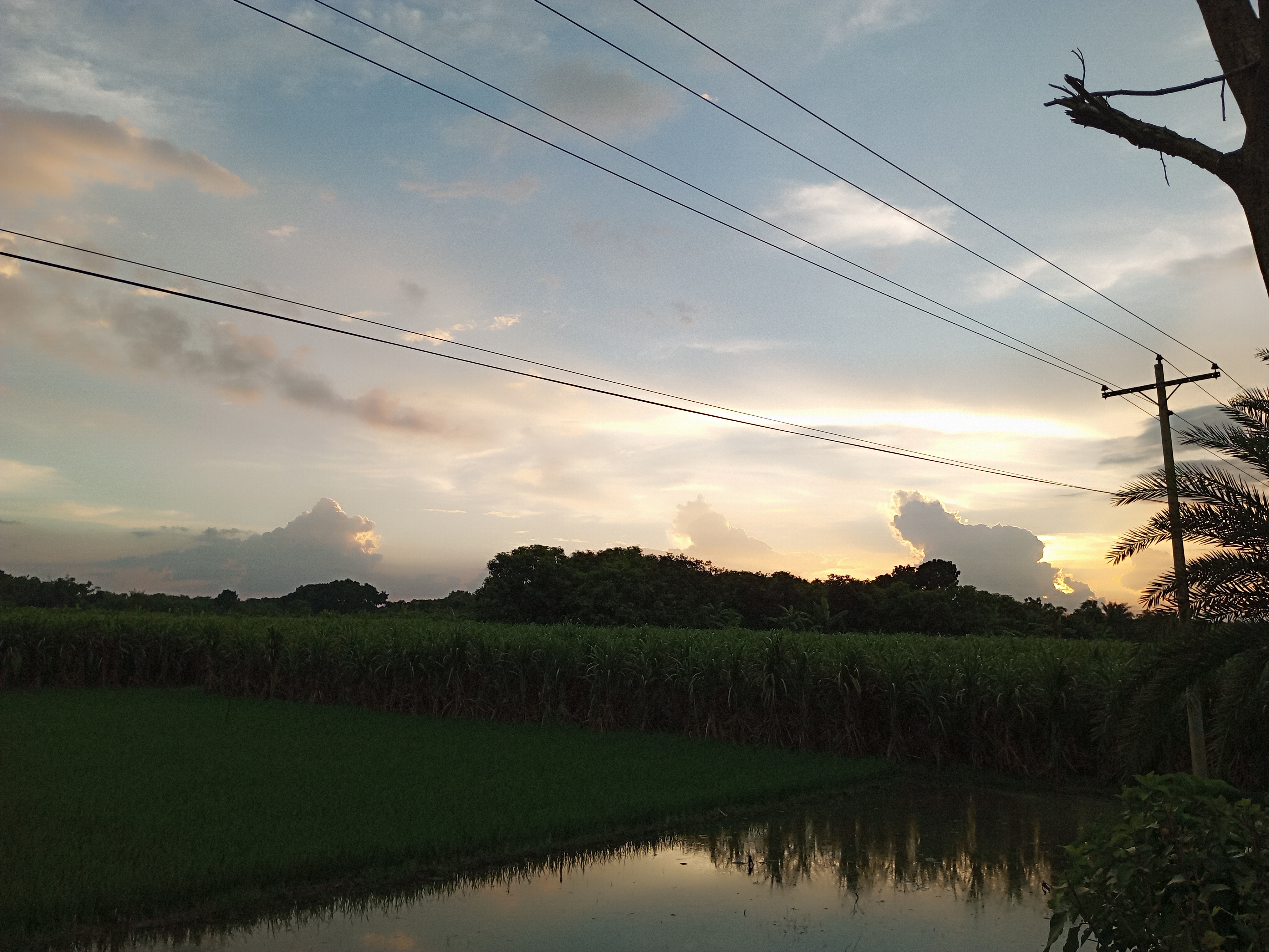 IMG_20250816_182536_267.jpg