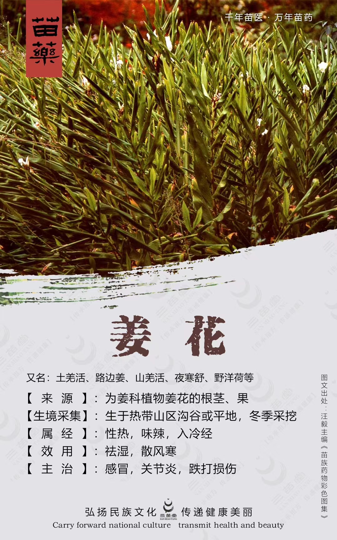 mmexport1717667799982.jpg