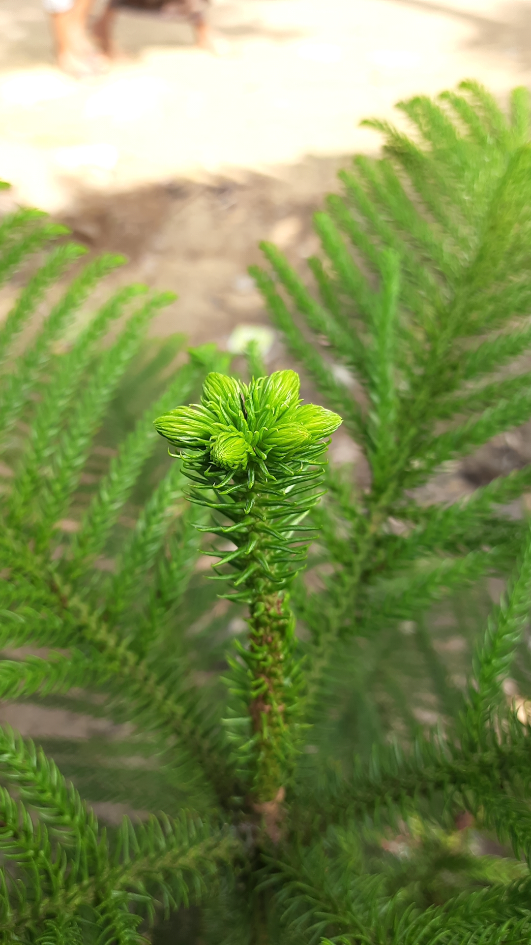 20201025_104905.jpg