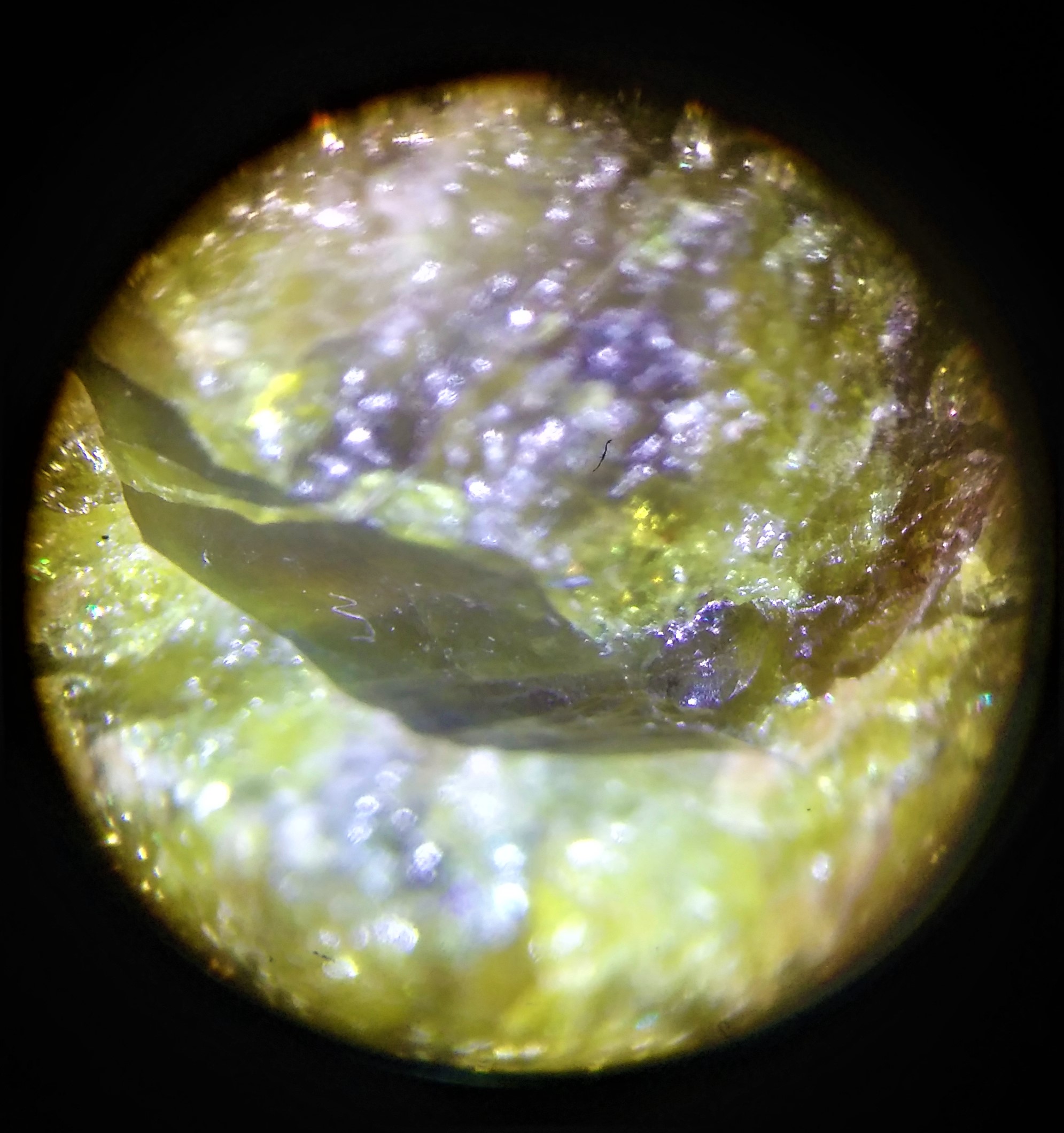 20191226_152408_HDR (2).jpg