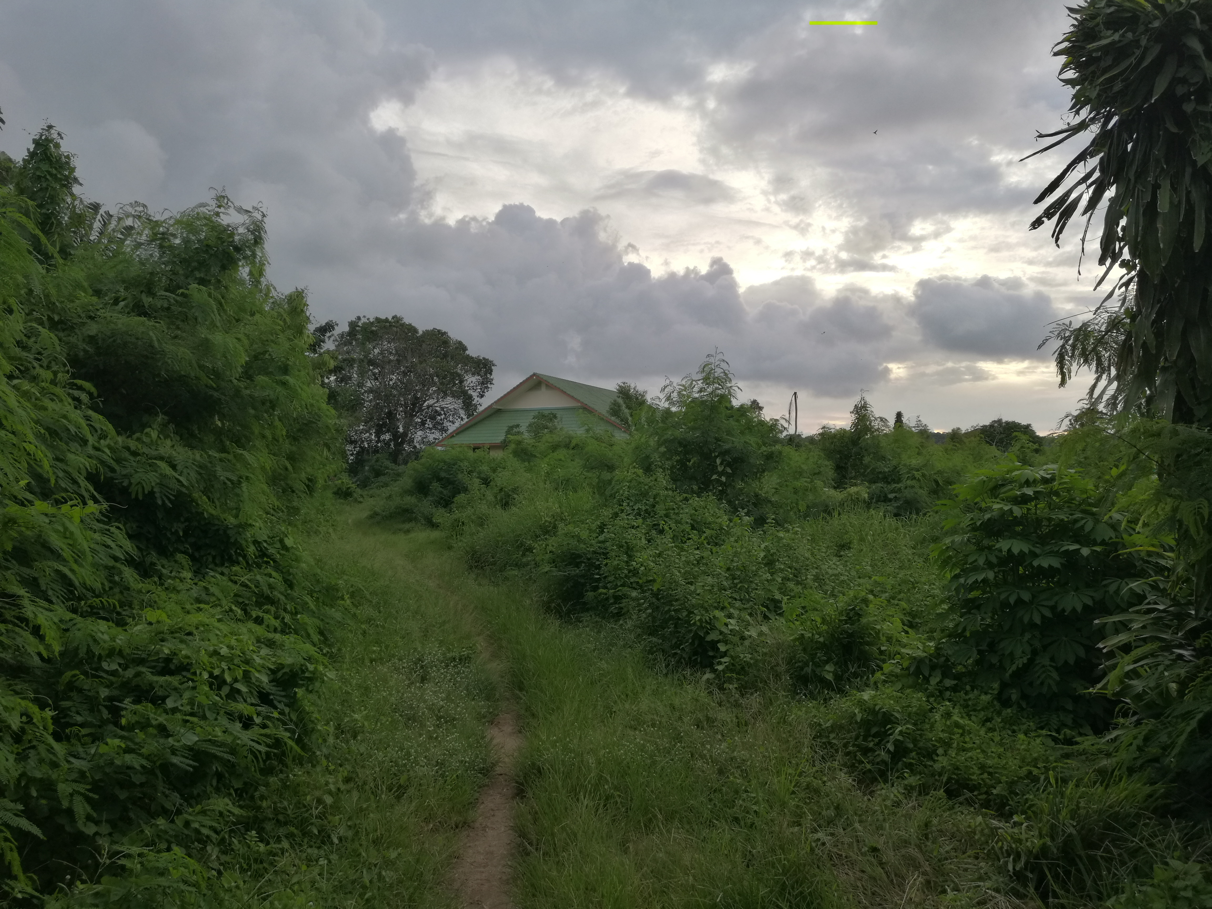 Natur1.jpg