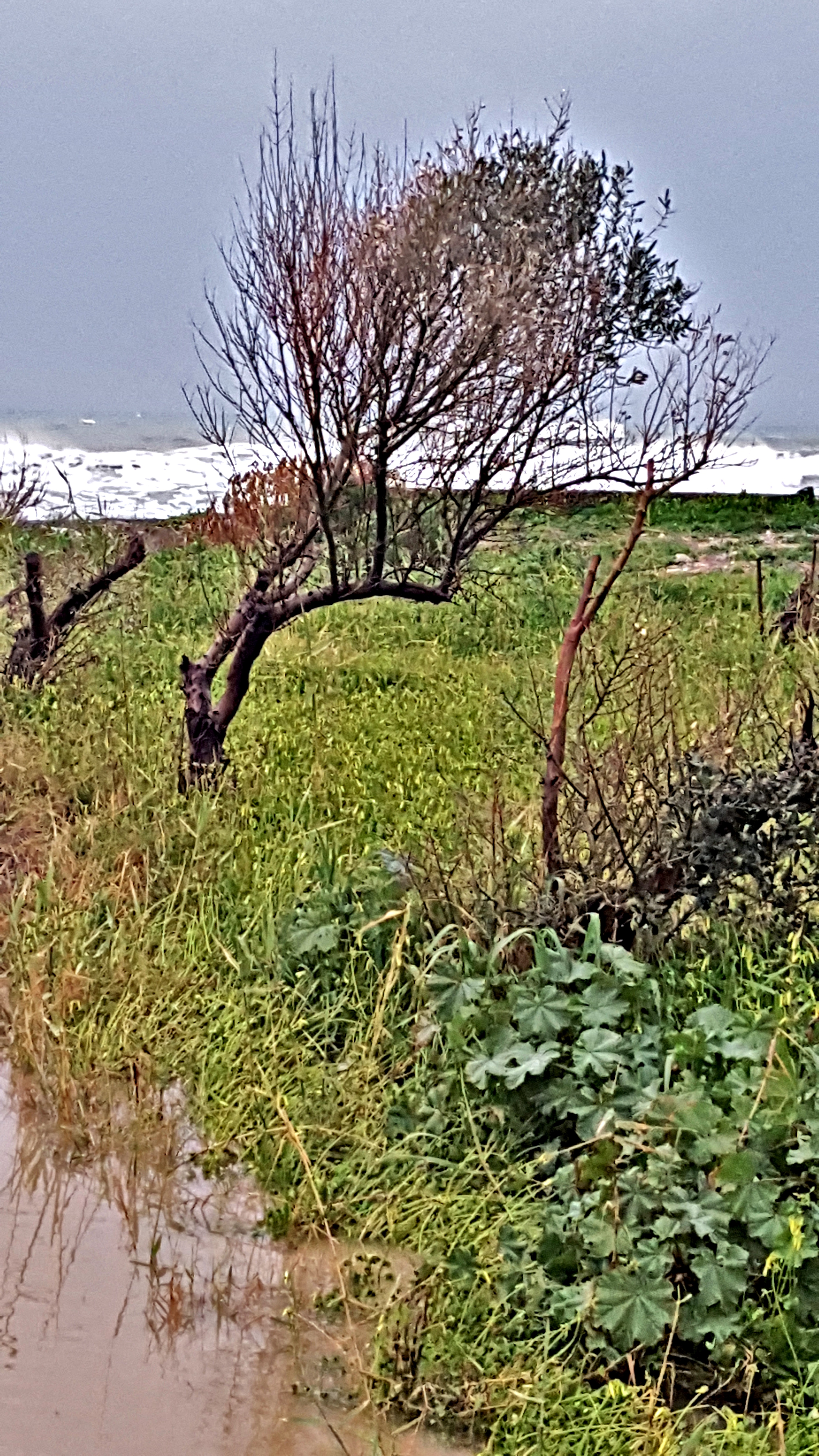 20190225_231328.jpg