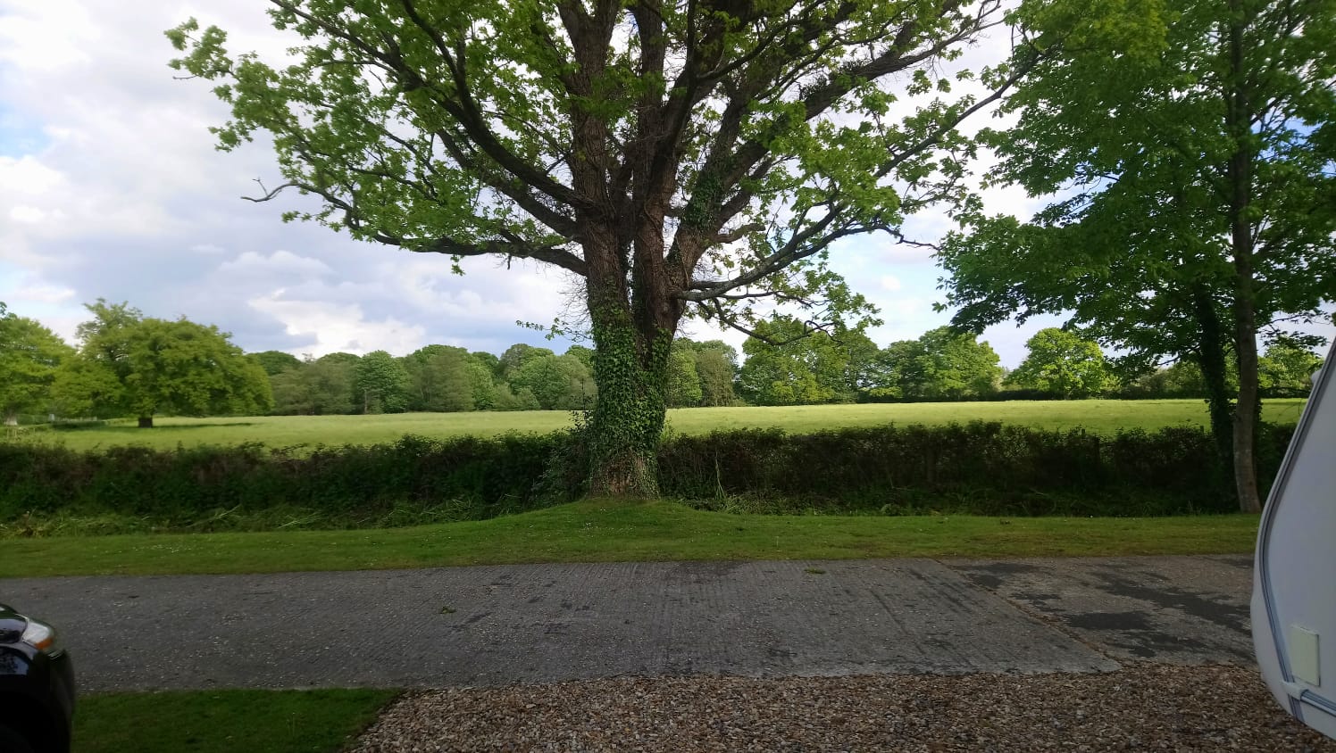 IMG-20190509-WA0000.jpg