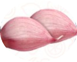 Garlic.png