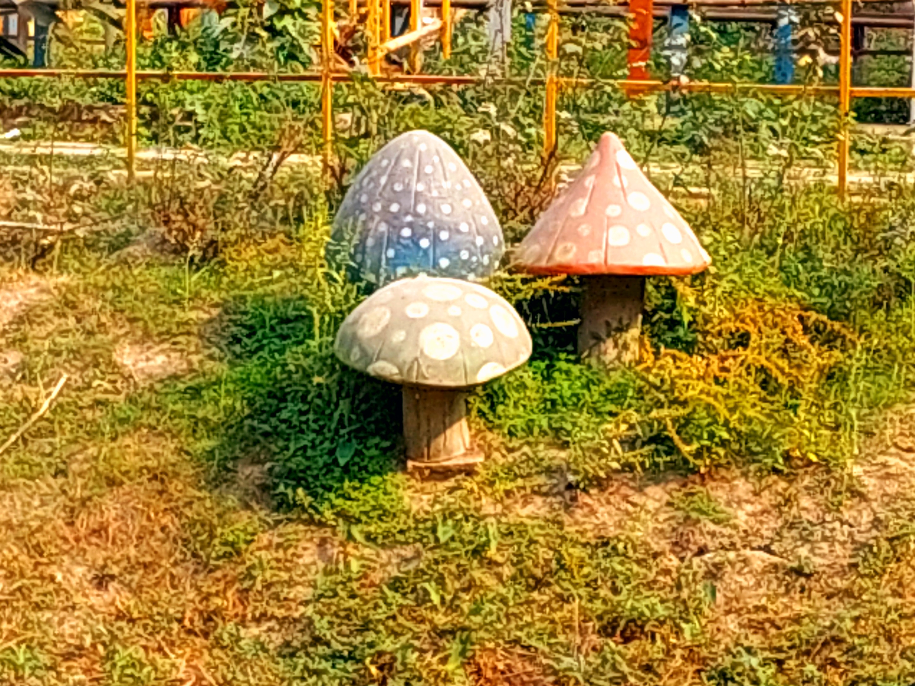 20260228_144207.jpg