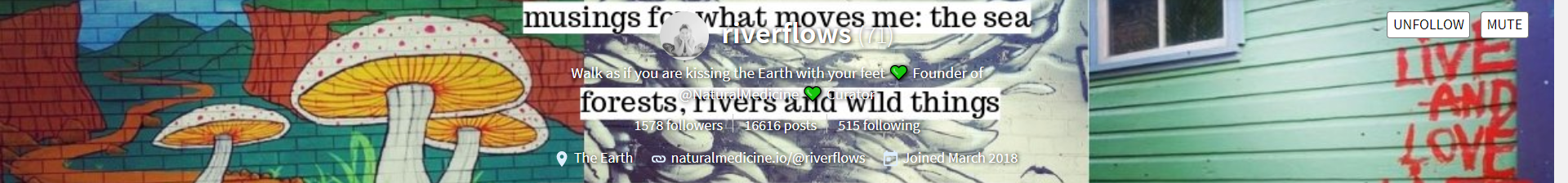 riverflows.png