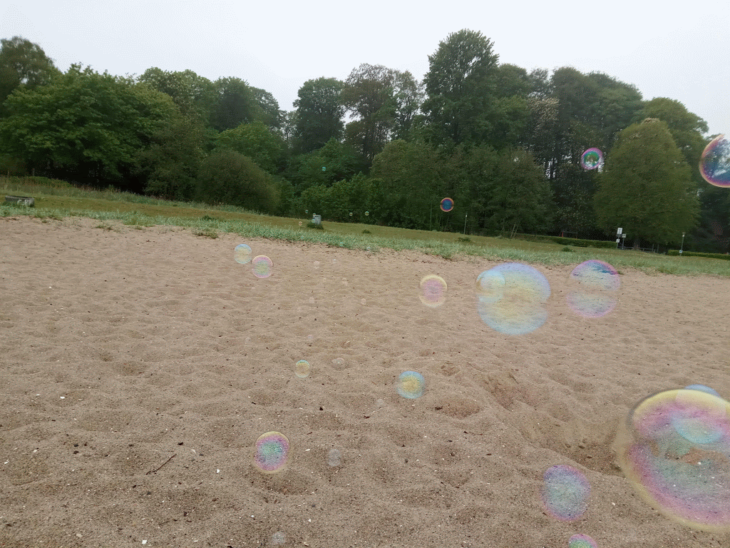 IMG_20190520_073234-ANIMATION.gif