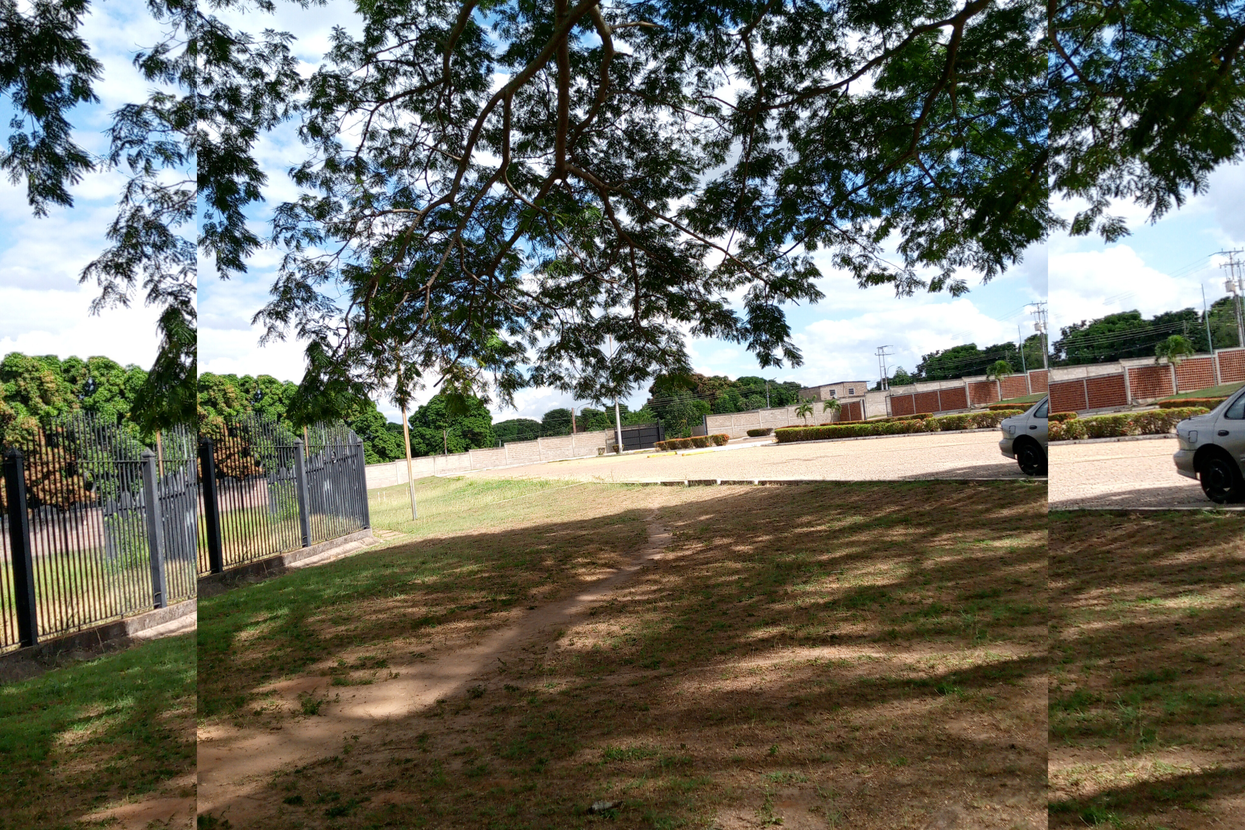 InShot_20260120_221019582.jpg