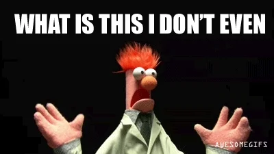 stupid.webp