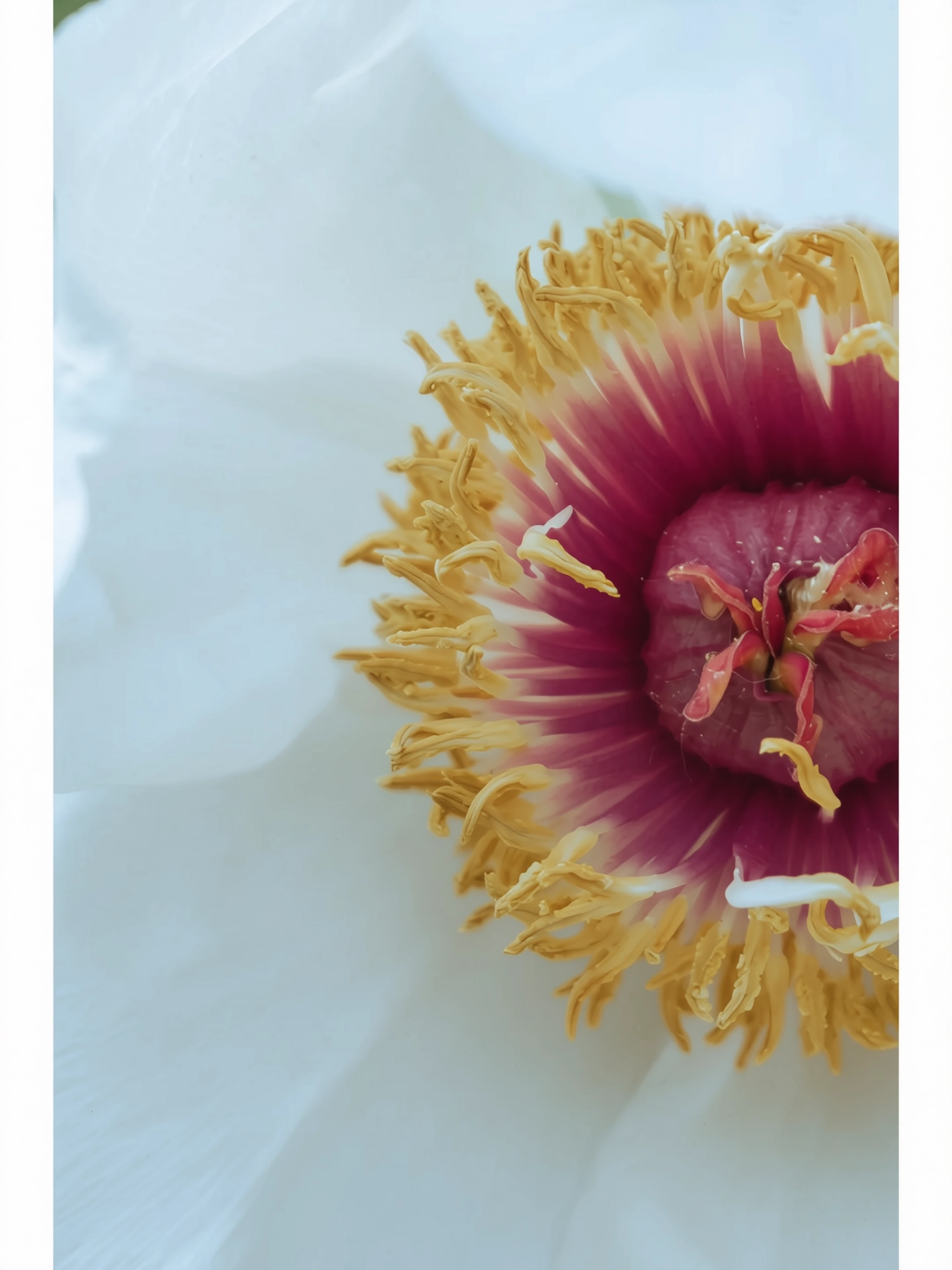 228.webp