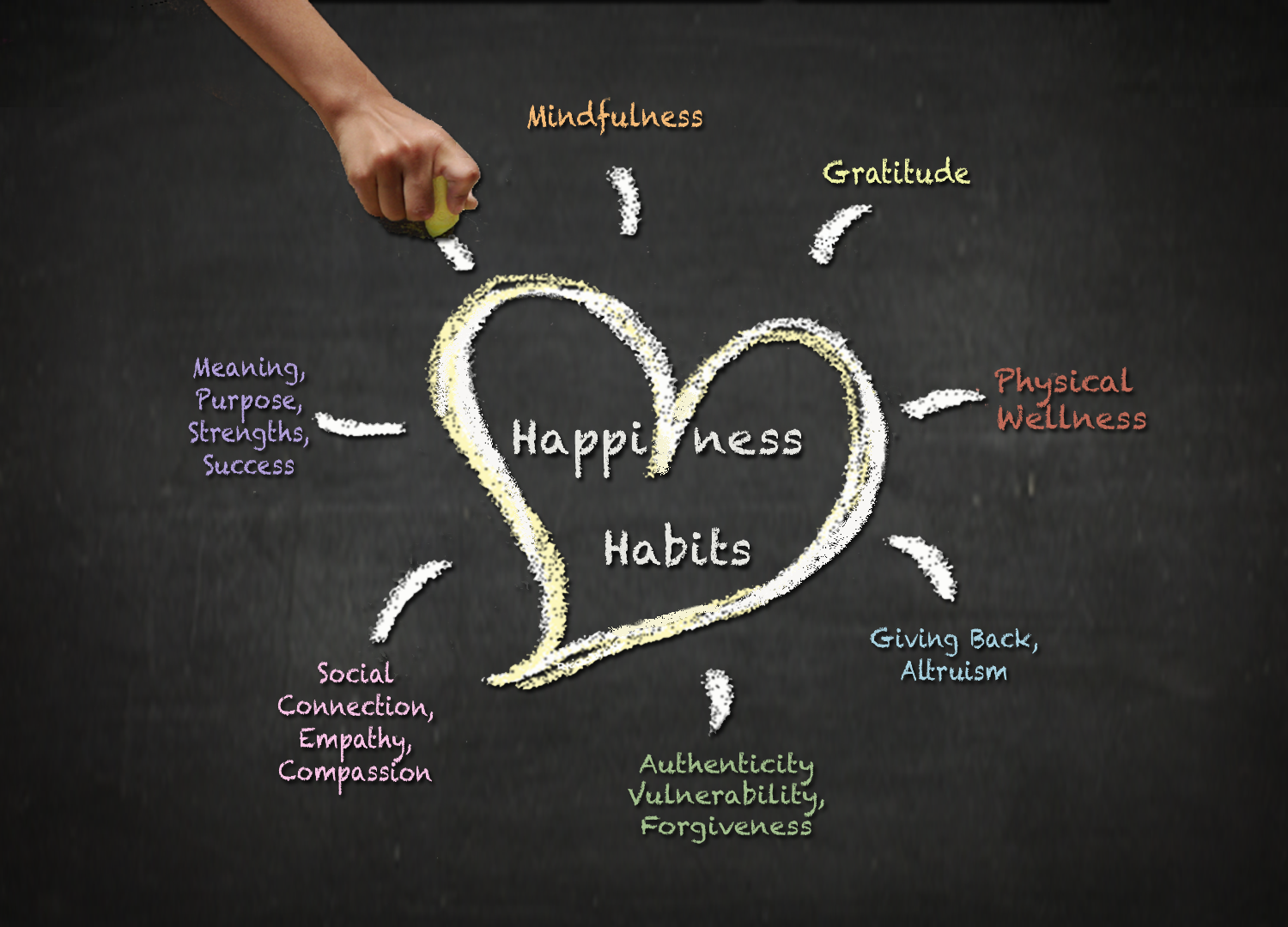 Purpose meaning. Social connection. Social Habits. Steps to Happiness. Happy meaning.