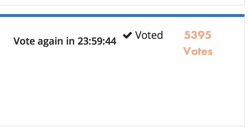 vote2.2.jpeg