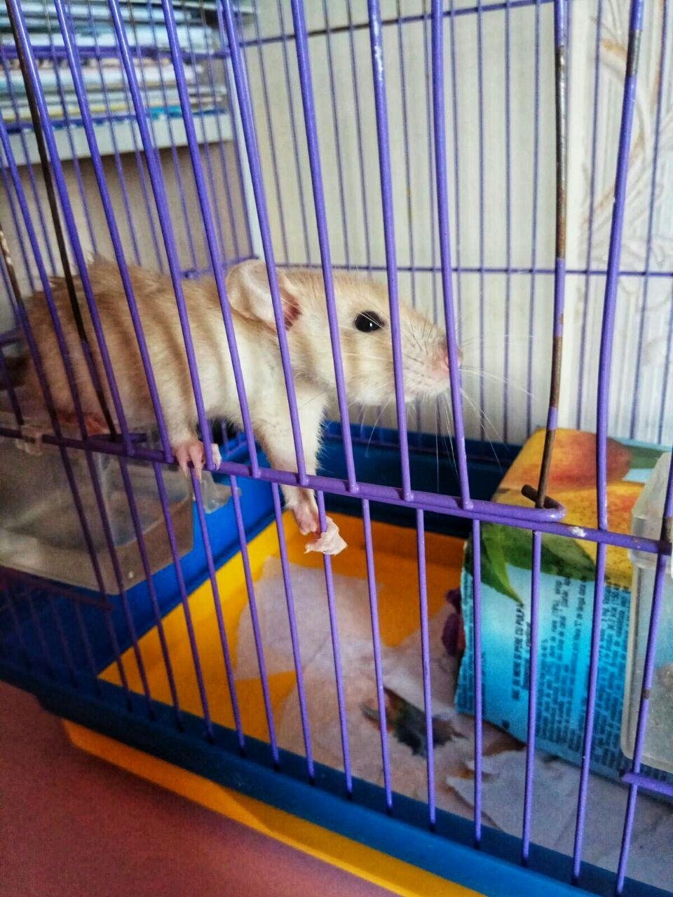 2bP4pJr4wVimqCWjYimXJe2cnCgnGuHnNEMaz7pSqFc.jpg