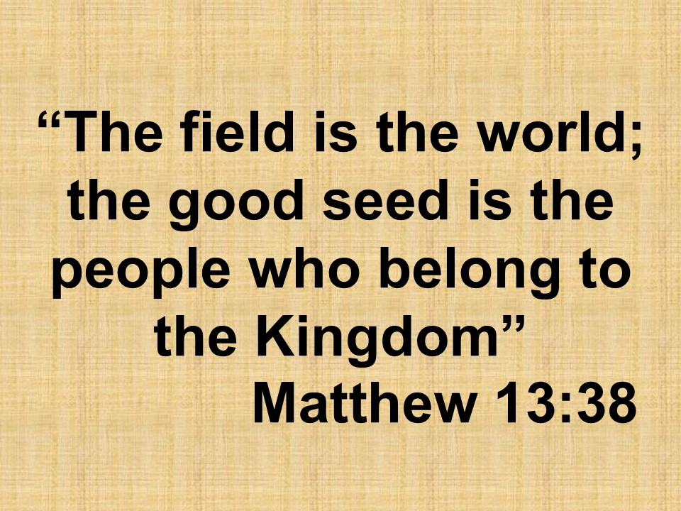 Parable of Jesus. The field is the world; the good seed is the people who belong to the Kingdom. Matthew 13,38.jpg