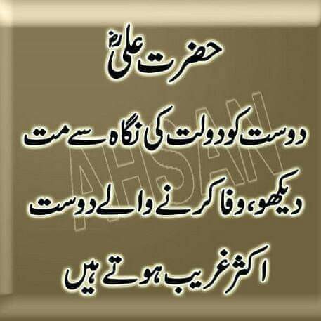 FB_IMG_1640036165572.jpg