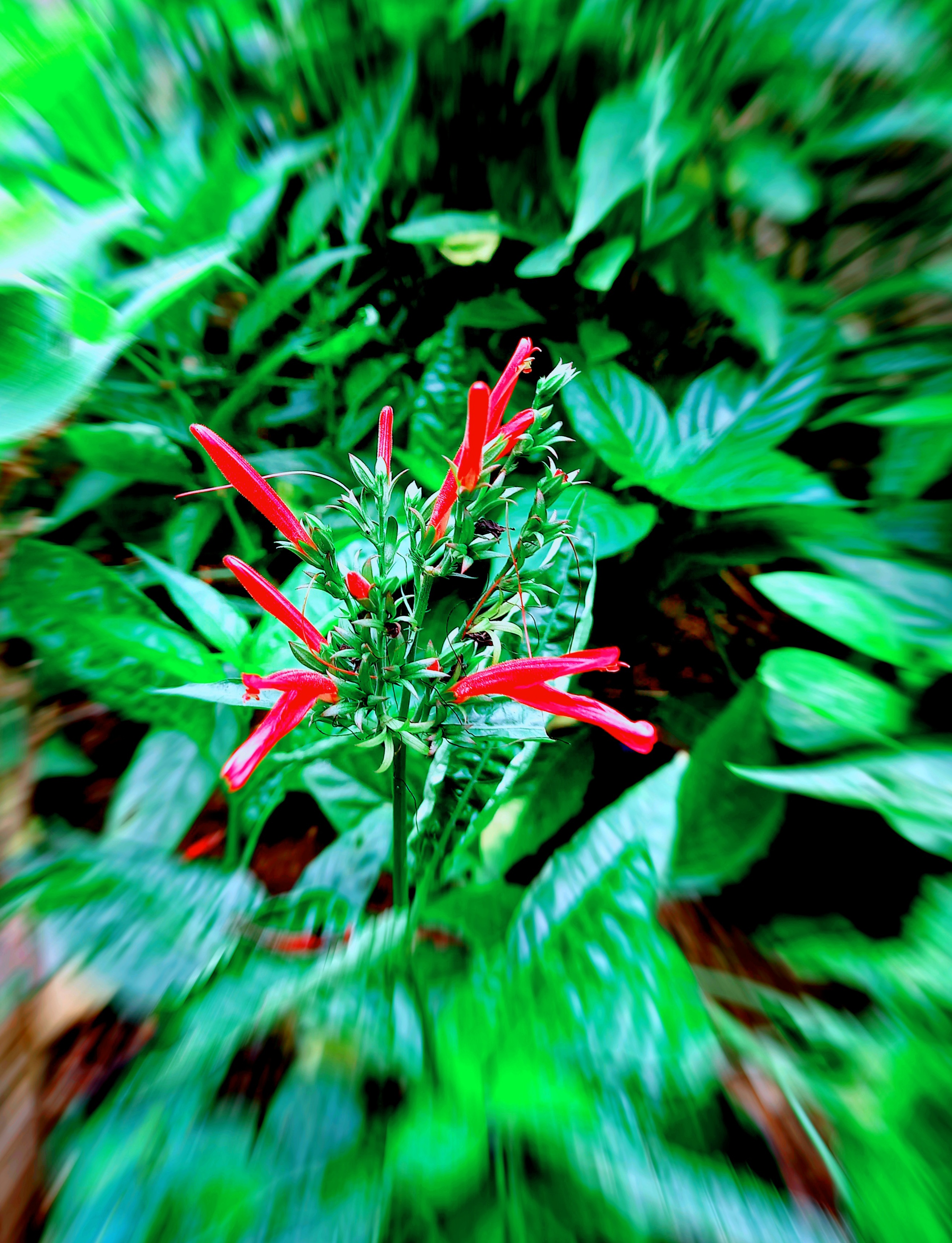 20210507_095823.jpg
