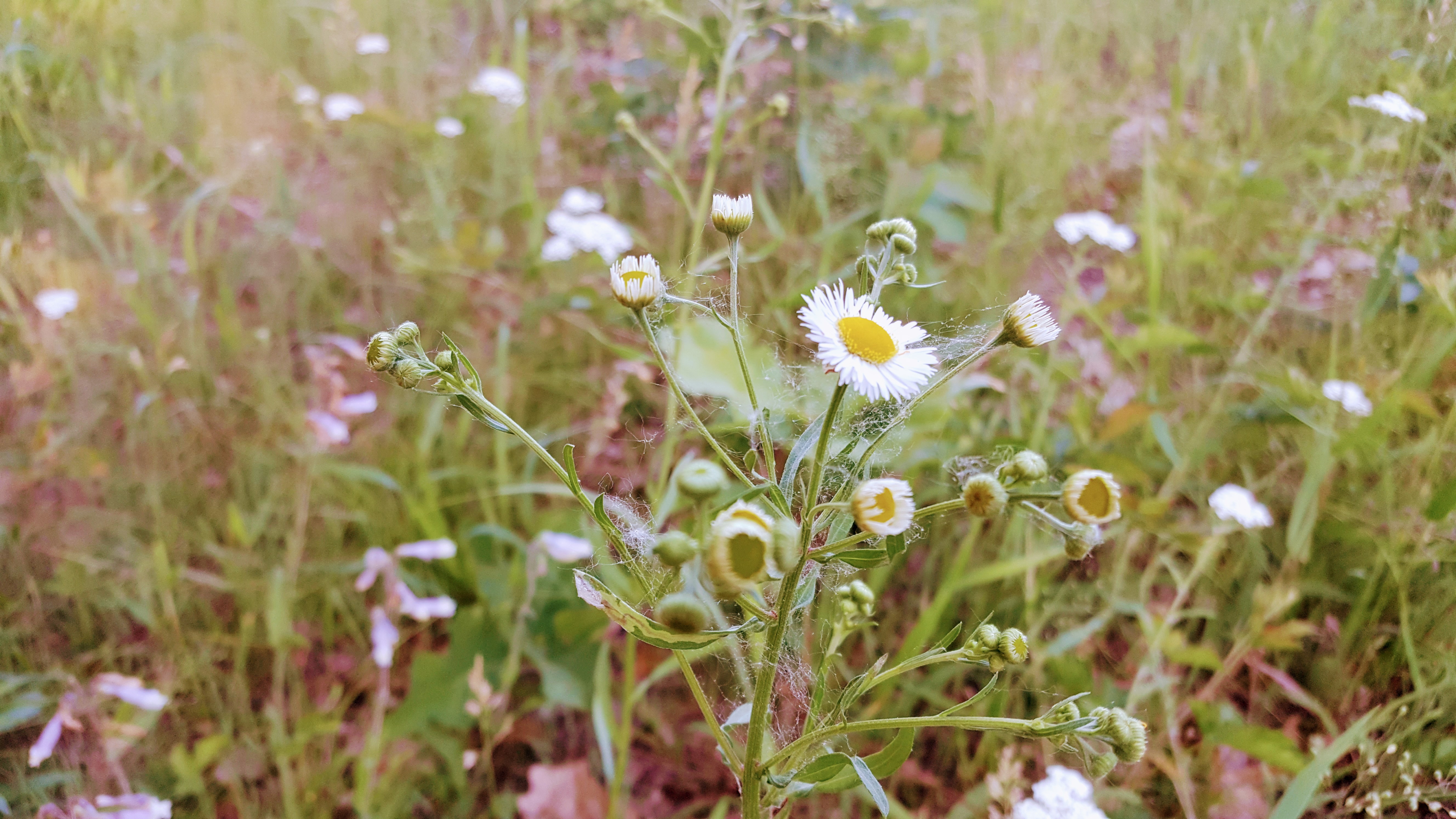 20180605_190207.jpg